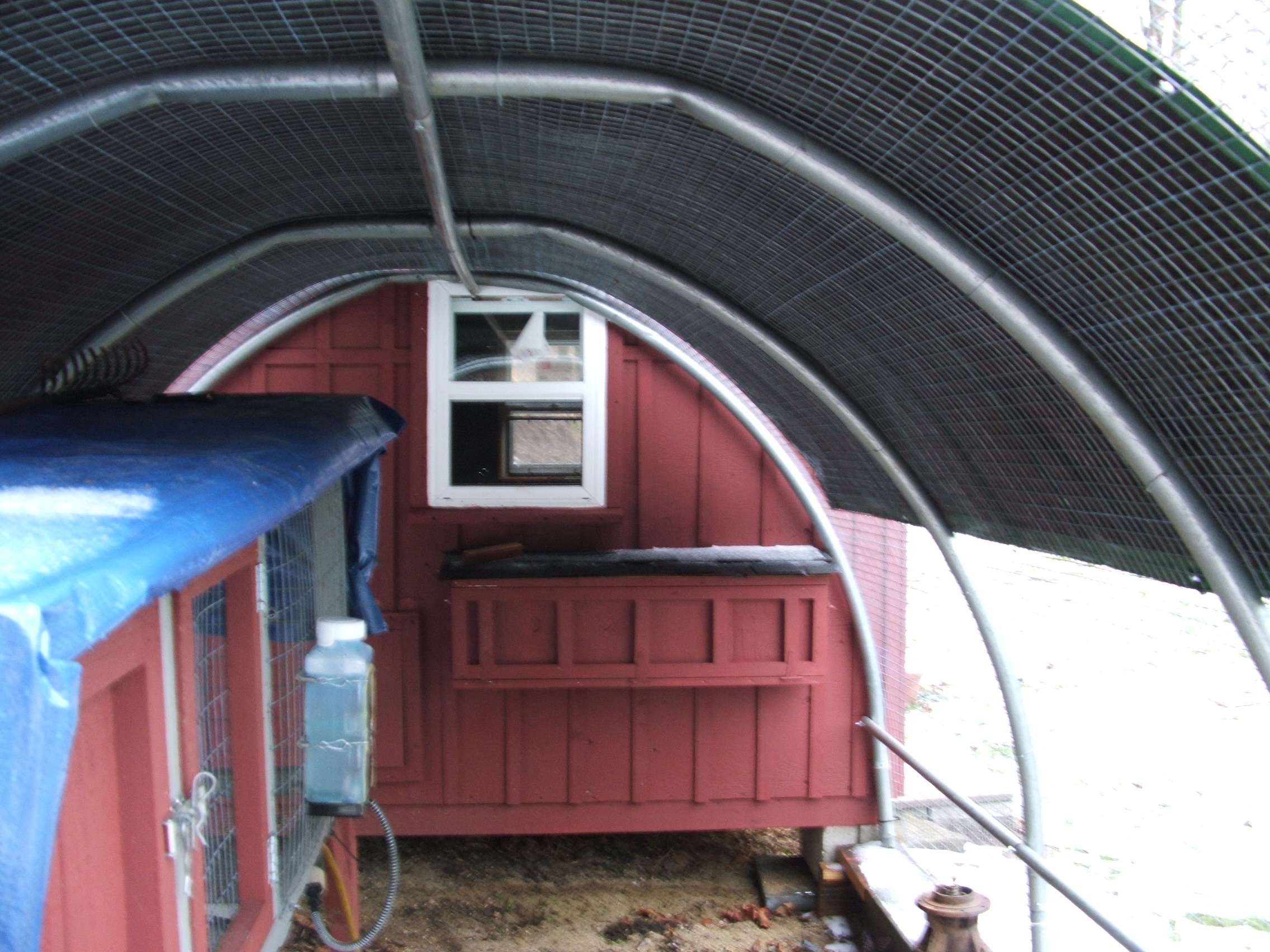 South end nesting boxes . Run covered with 1x1 welded wire