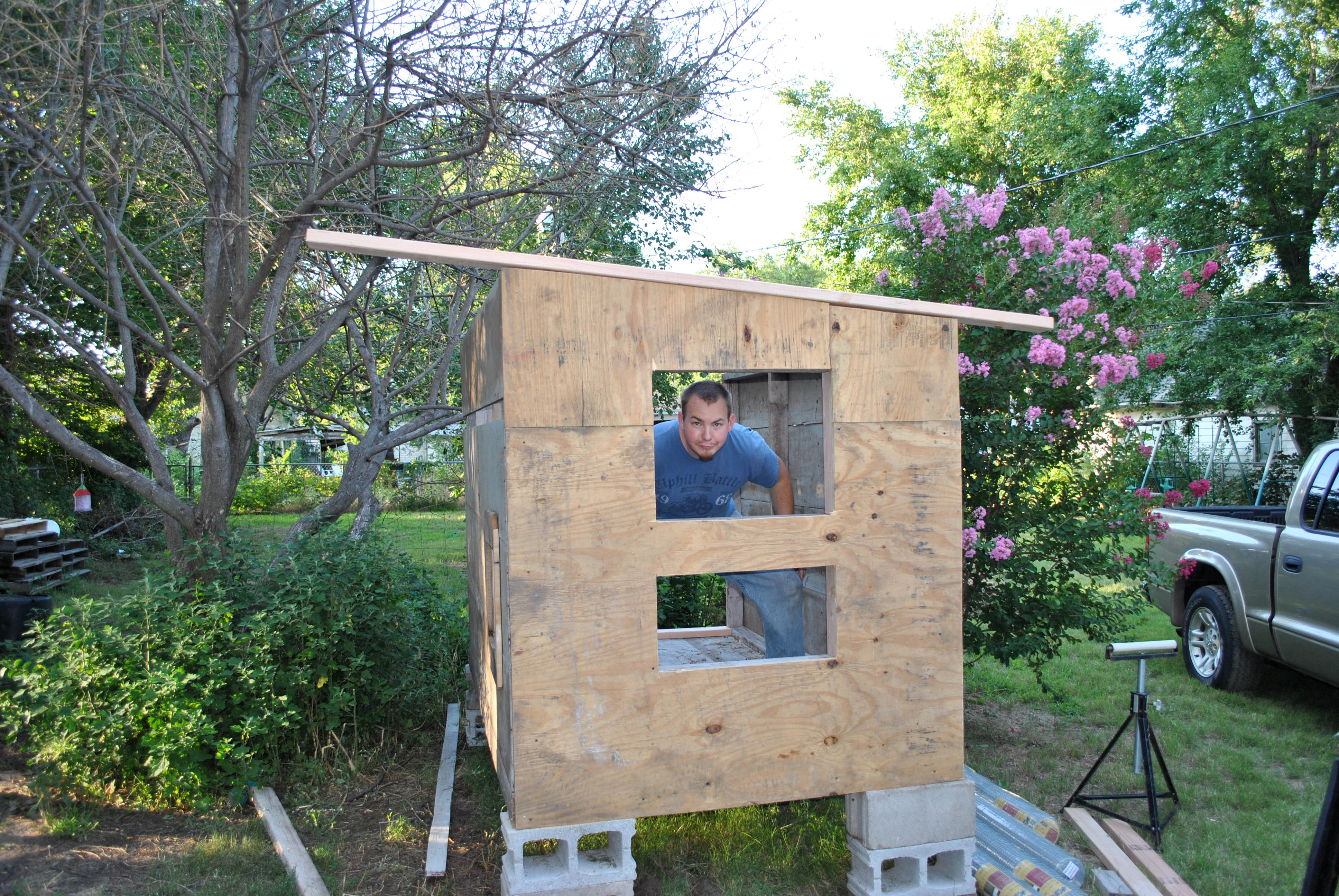 South wall is up with window and nest box