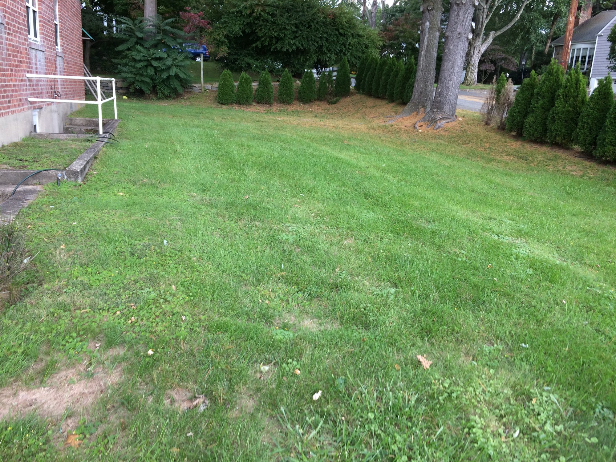 Space For Future Flock