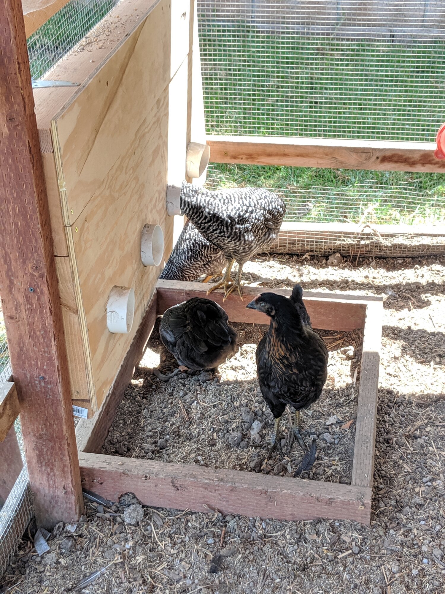 Space-saving Feeder