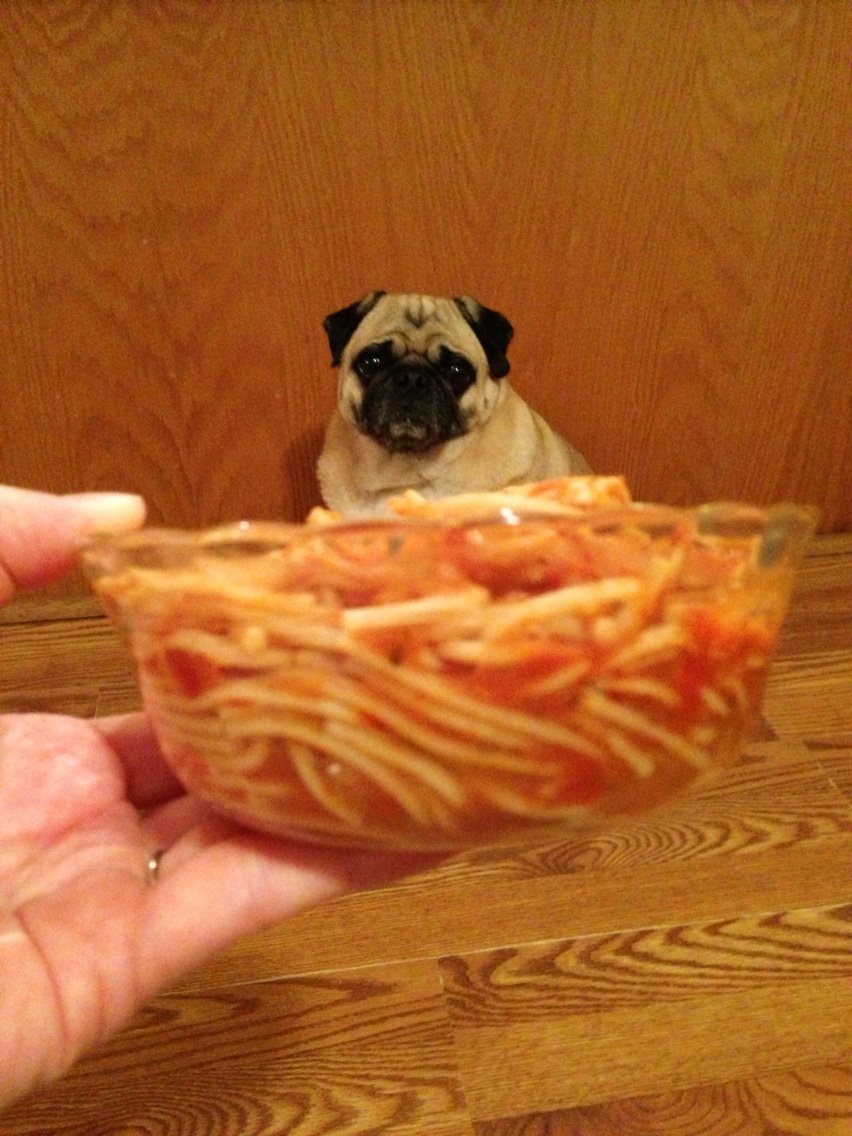 Spaghetti & Meatballs