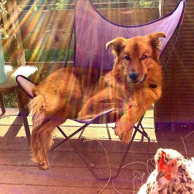 Spangle photobombs Leoki.