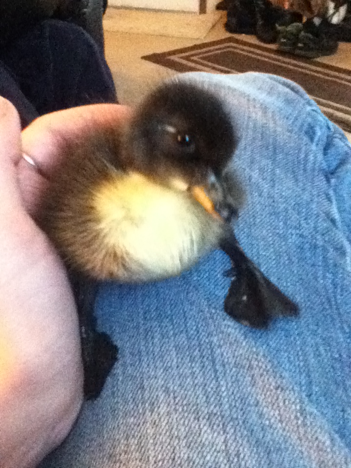 Special being adorable, as always.