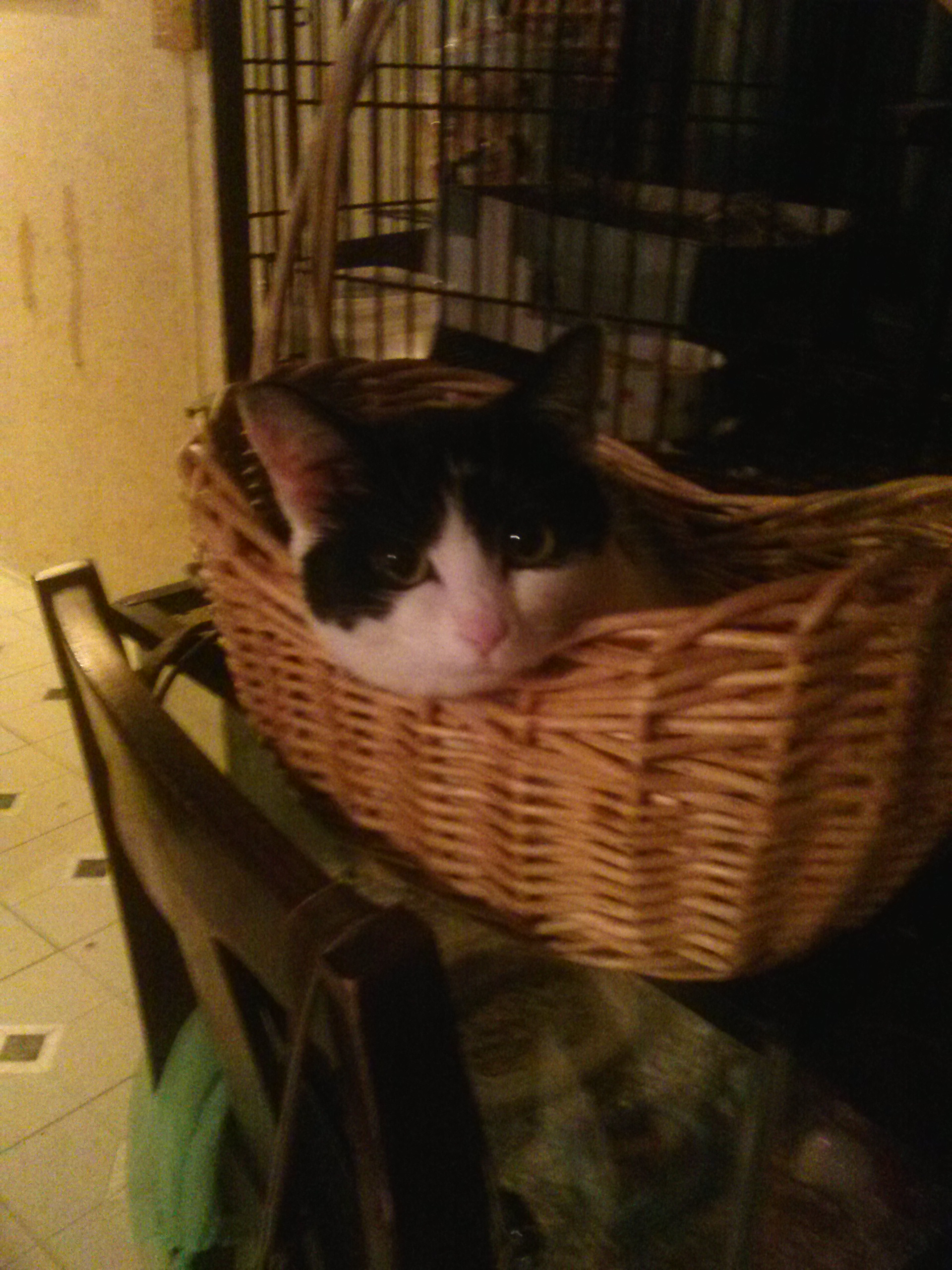 Spooky resting.