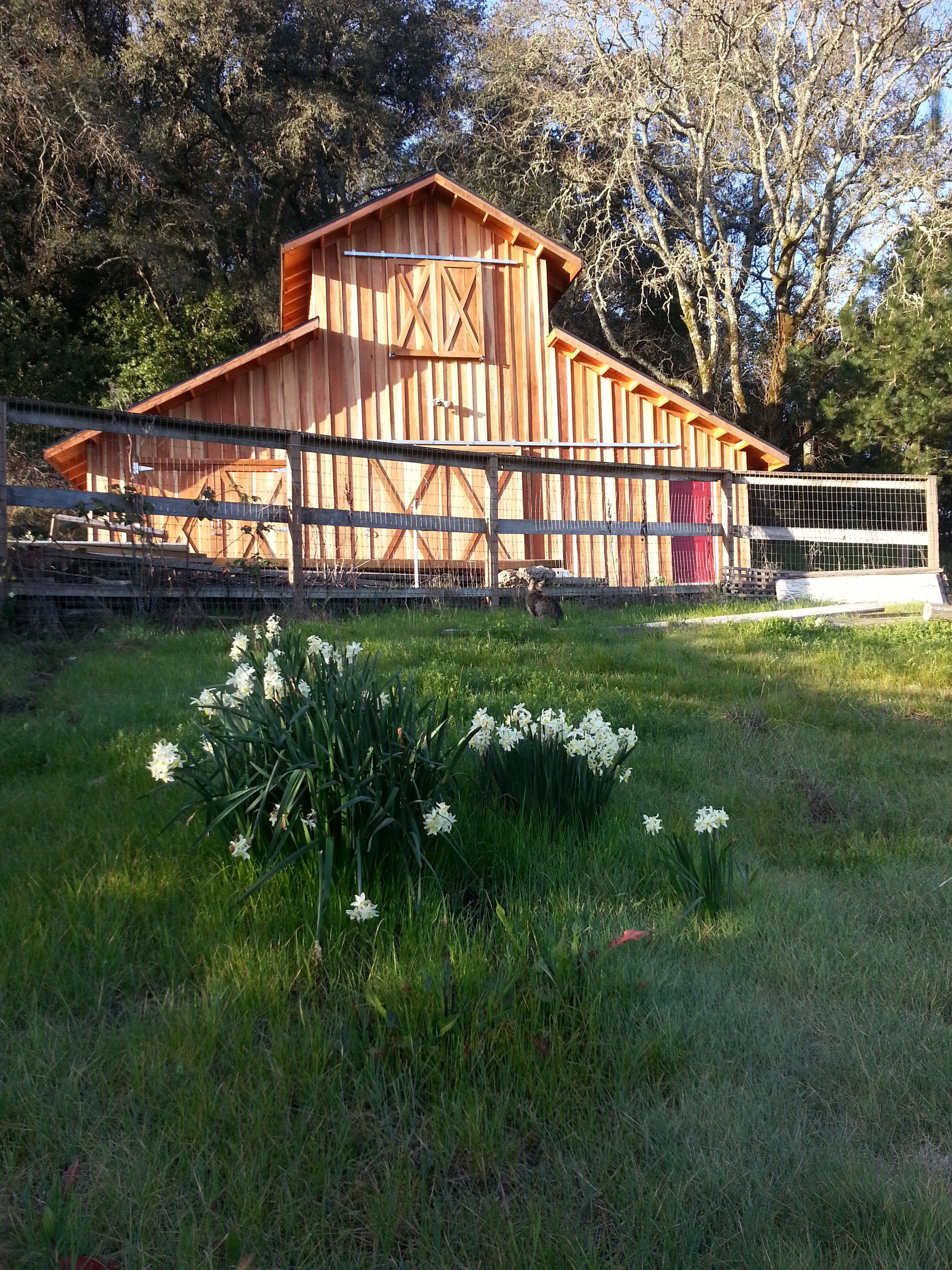 Spring barn