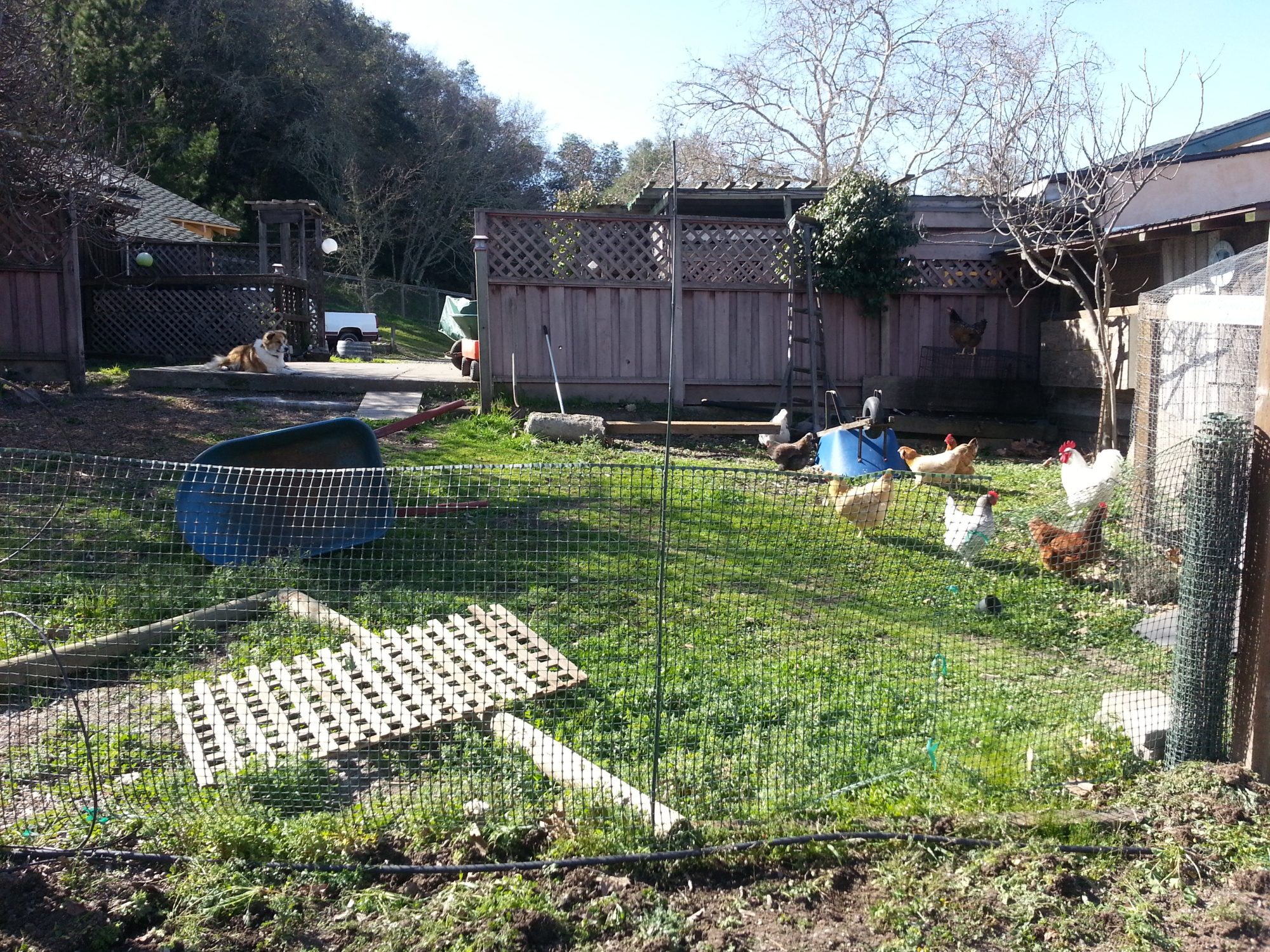 spring cleaning