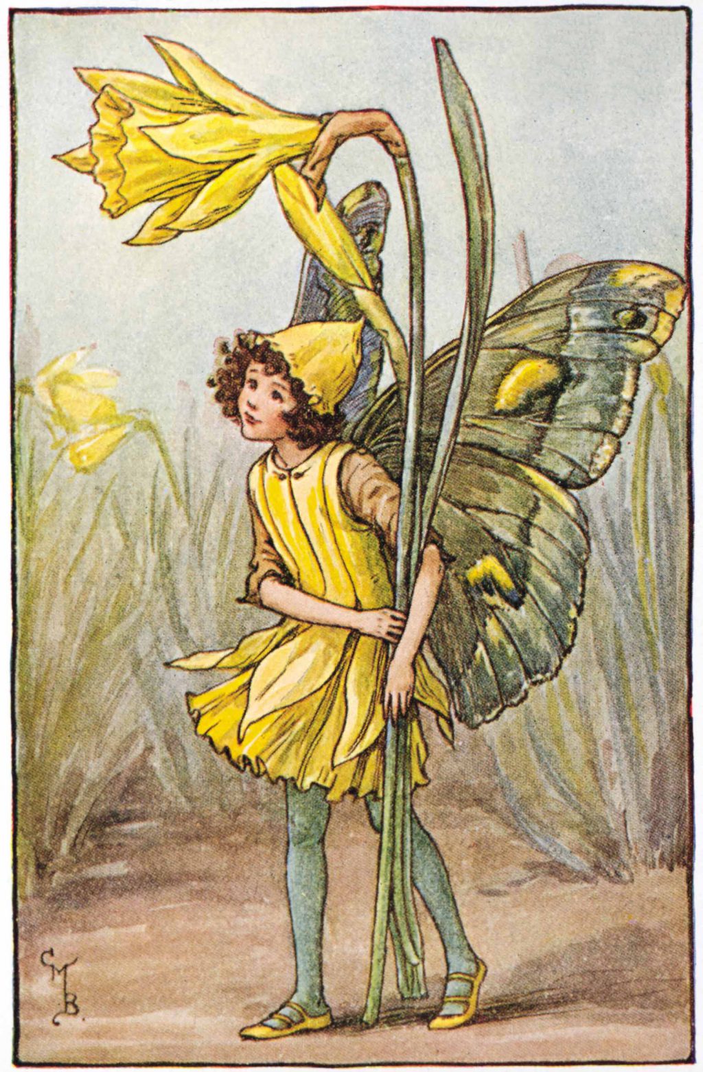 Spring The Daffodil Fairy