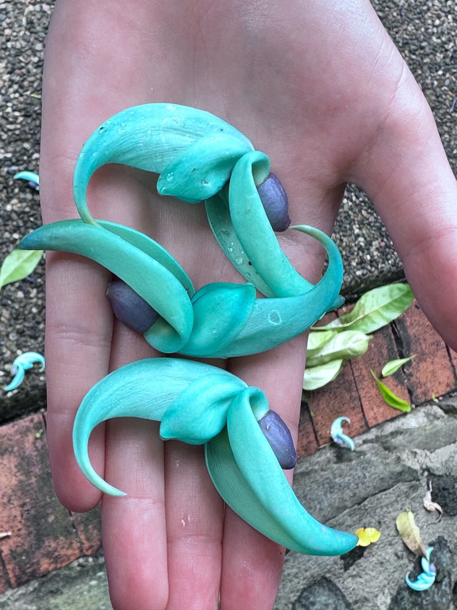 Springtacular Flower 3.jpg