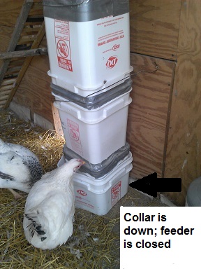 Square Feeder Closed