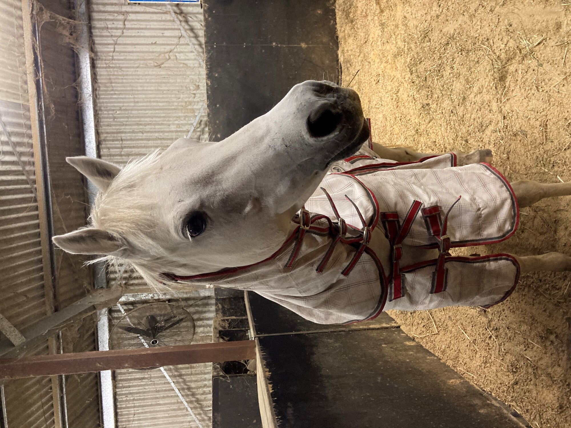 Stable time!