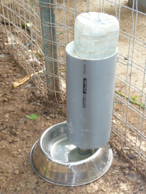 Stainless steel dish with bottle