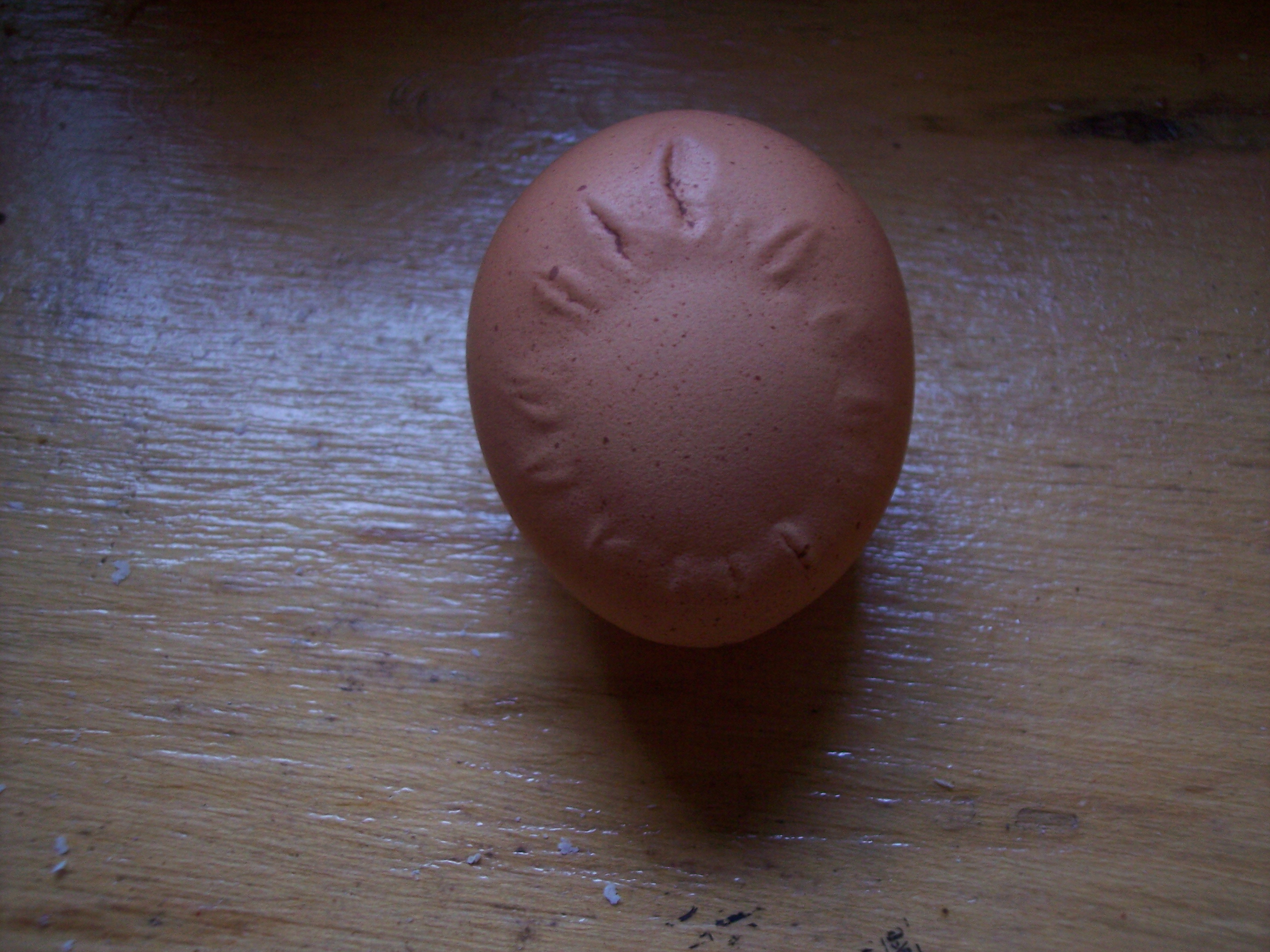 Star Burst Egg