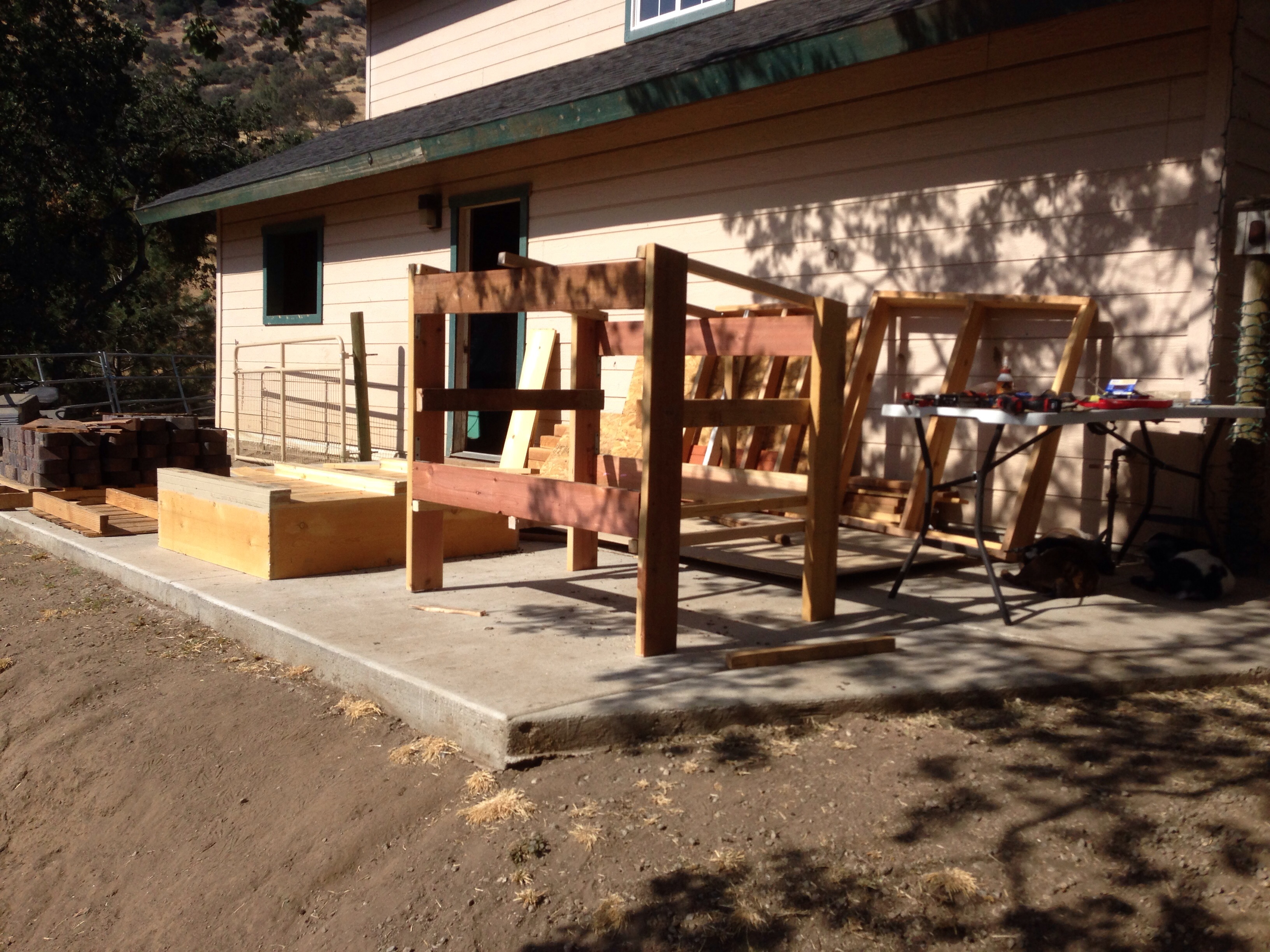 Start of new coop.