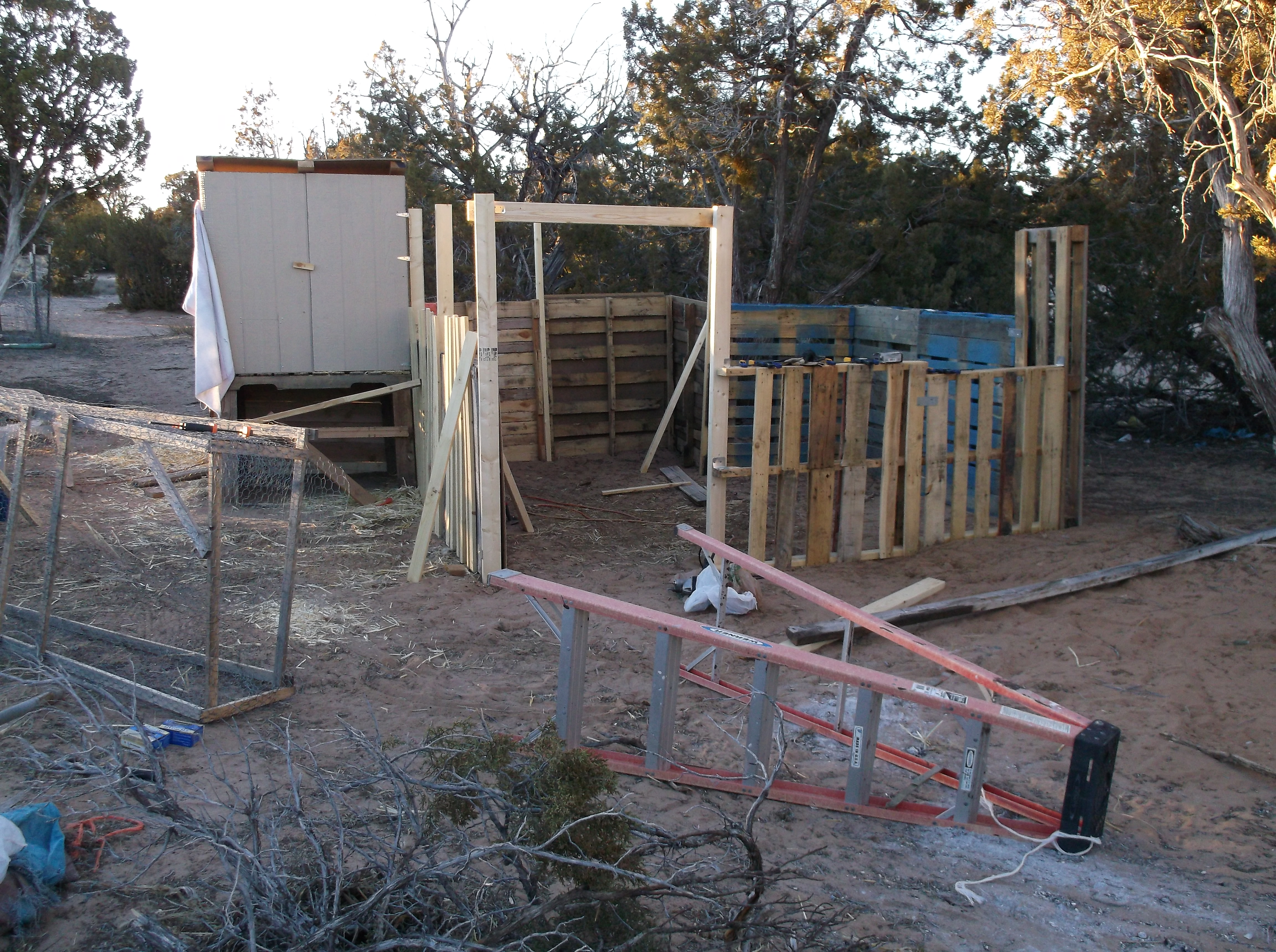 Started putting up walls for the coop and framed a doorway.
