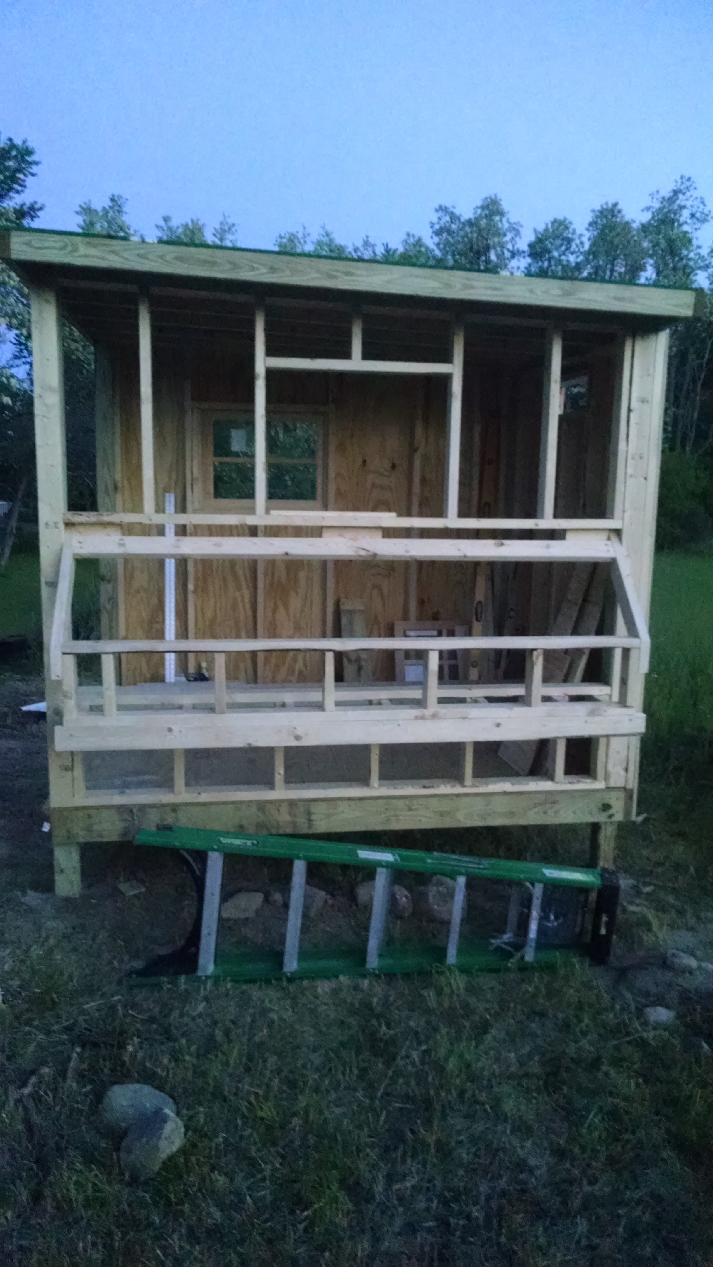 started the nesting box.