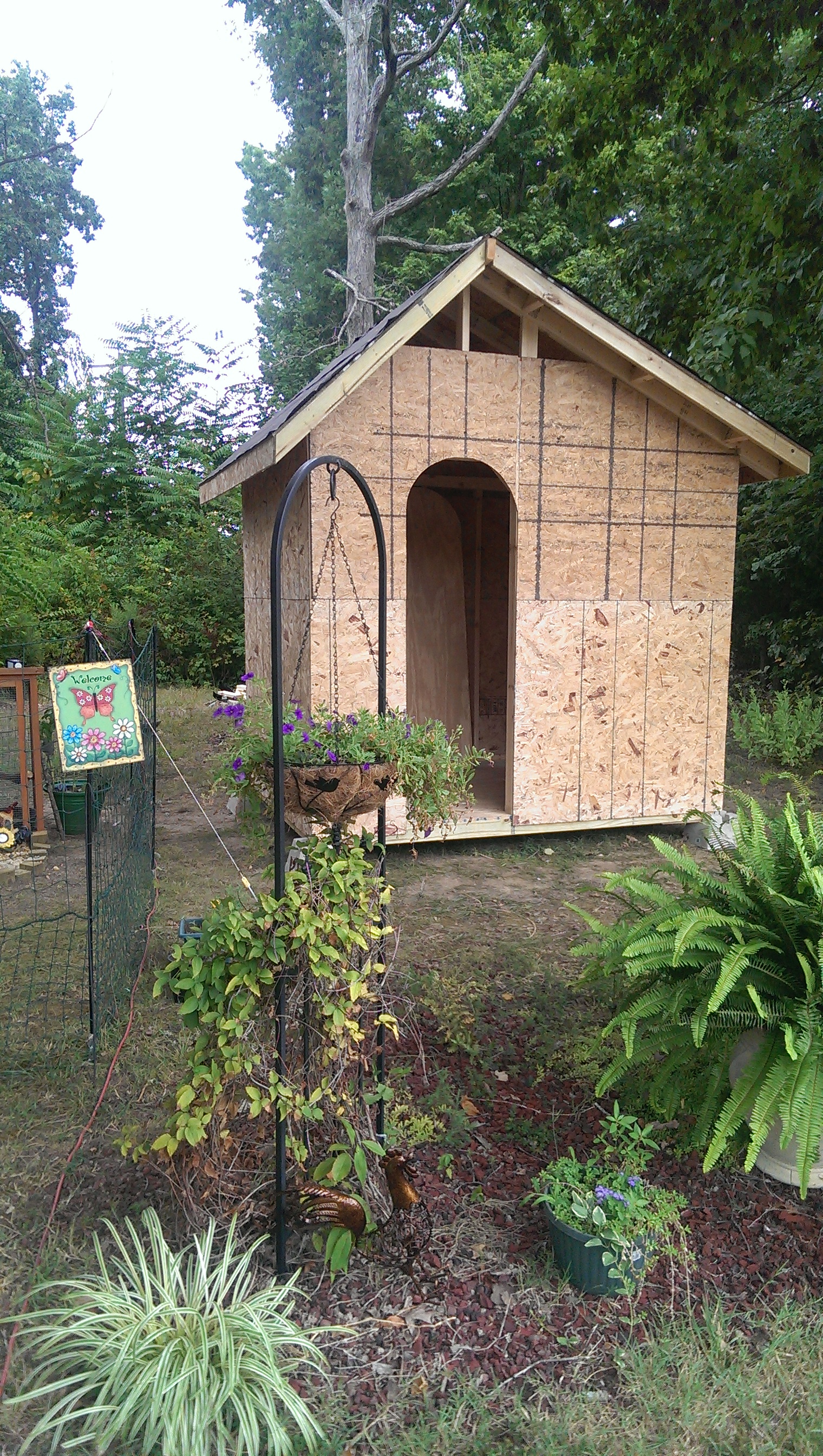 Started the new coop