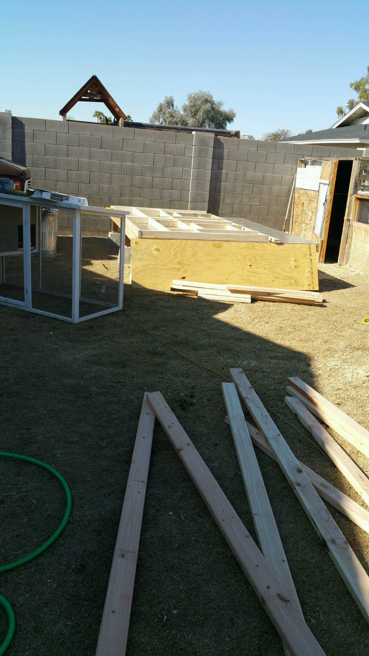 starting the walls