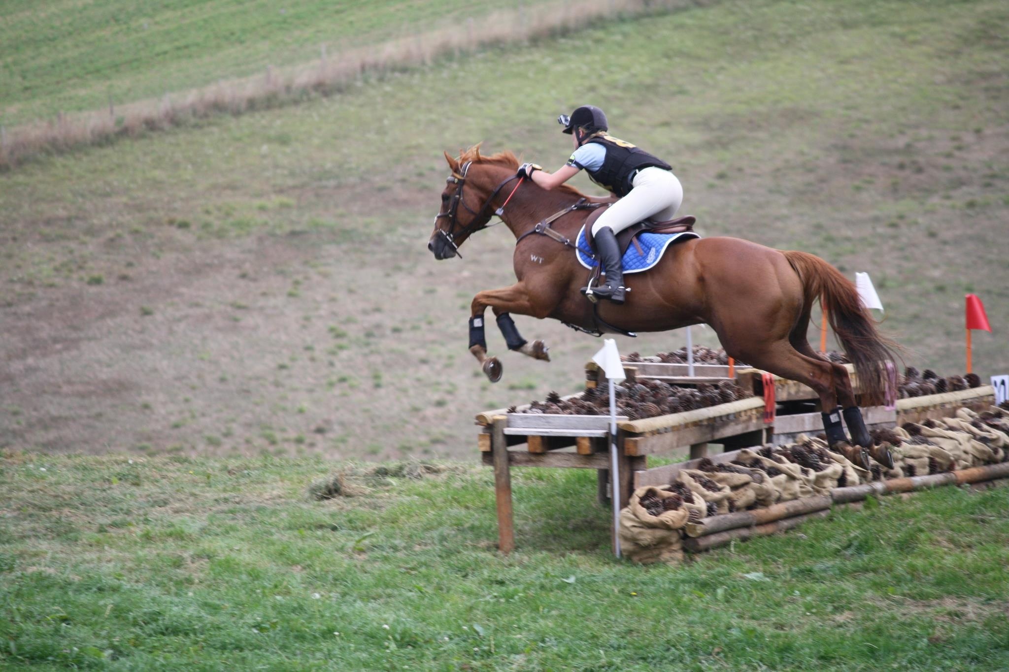 State trials 2012