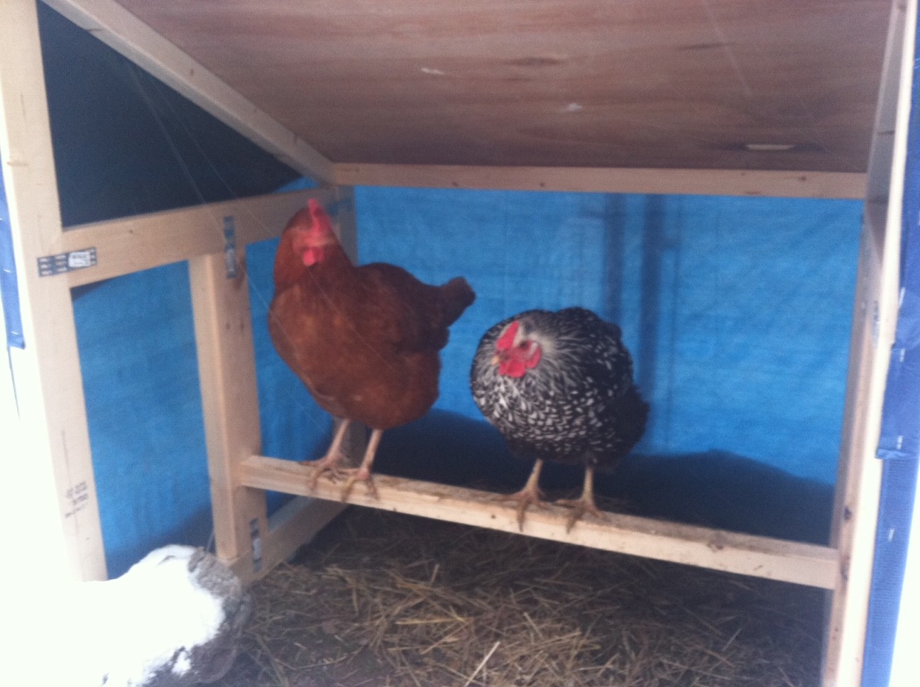 staying out of the wind