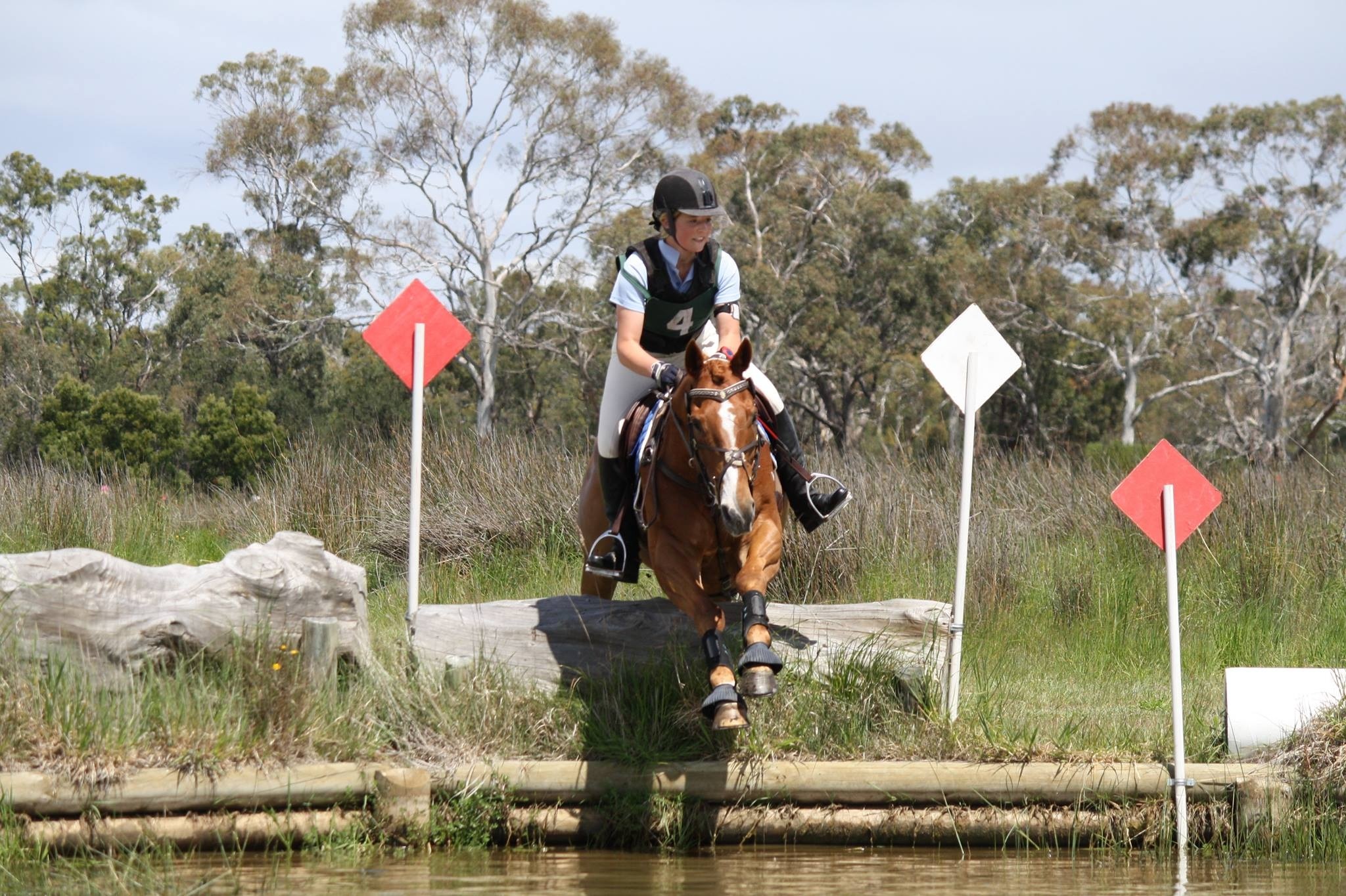 Stea eventing championships 2013