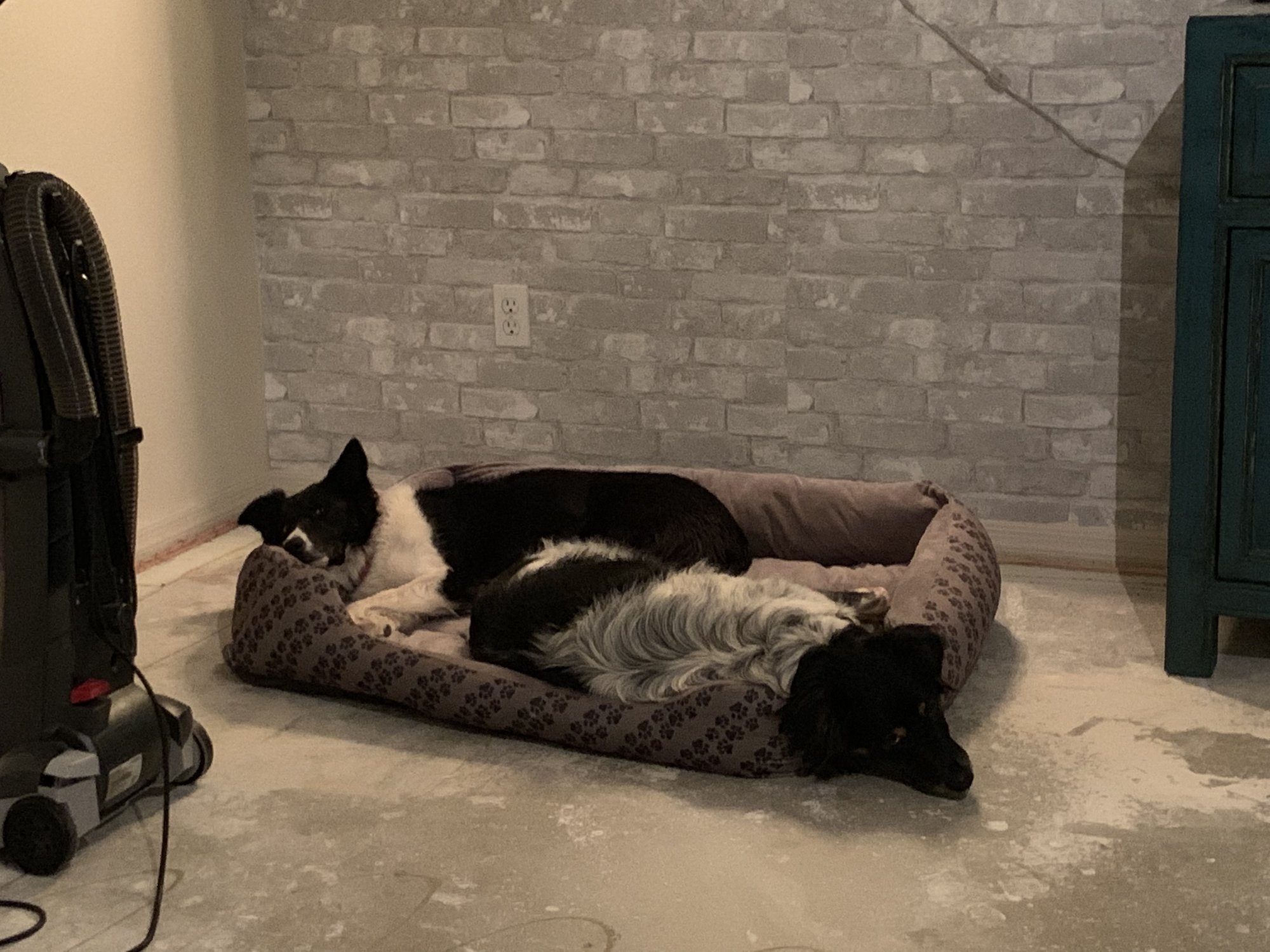 Stella & Earl
