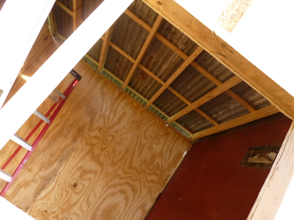 Step 11: Hang rafters and cross with purlin strips, then put corrugated metal on top and screw down. (Best to do the metal in the rain... not.)