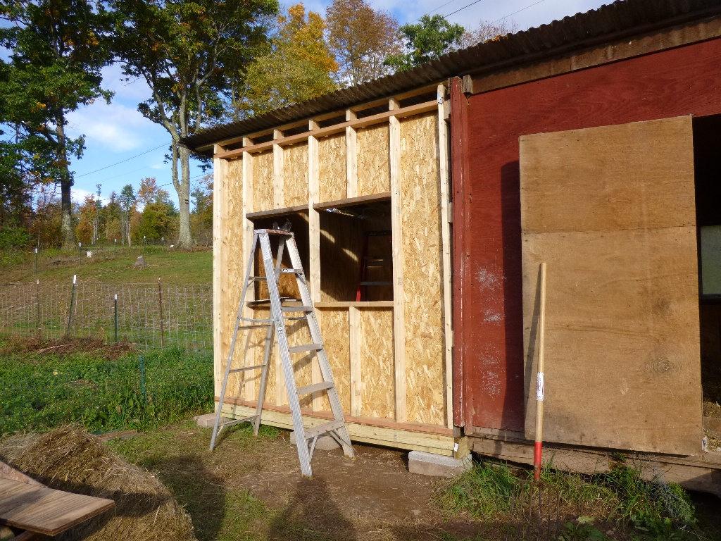 Step 12: Install inner plywood and cut out holes for windows and chicken door.