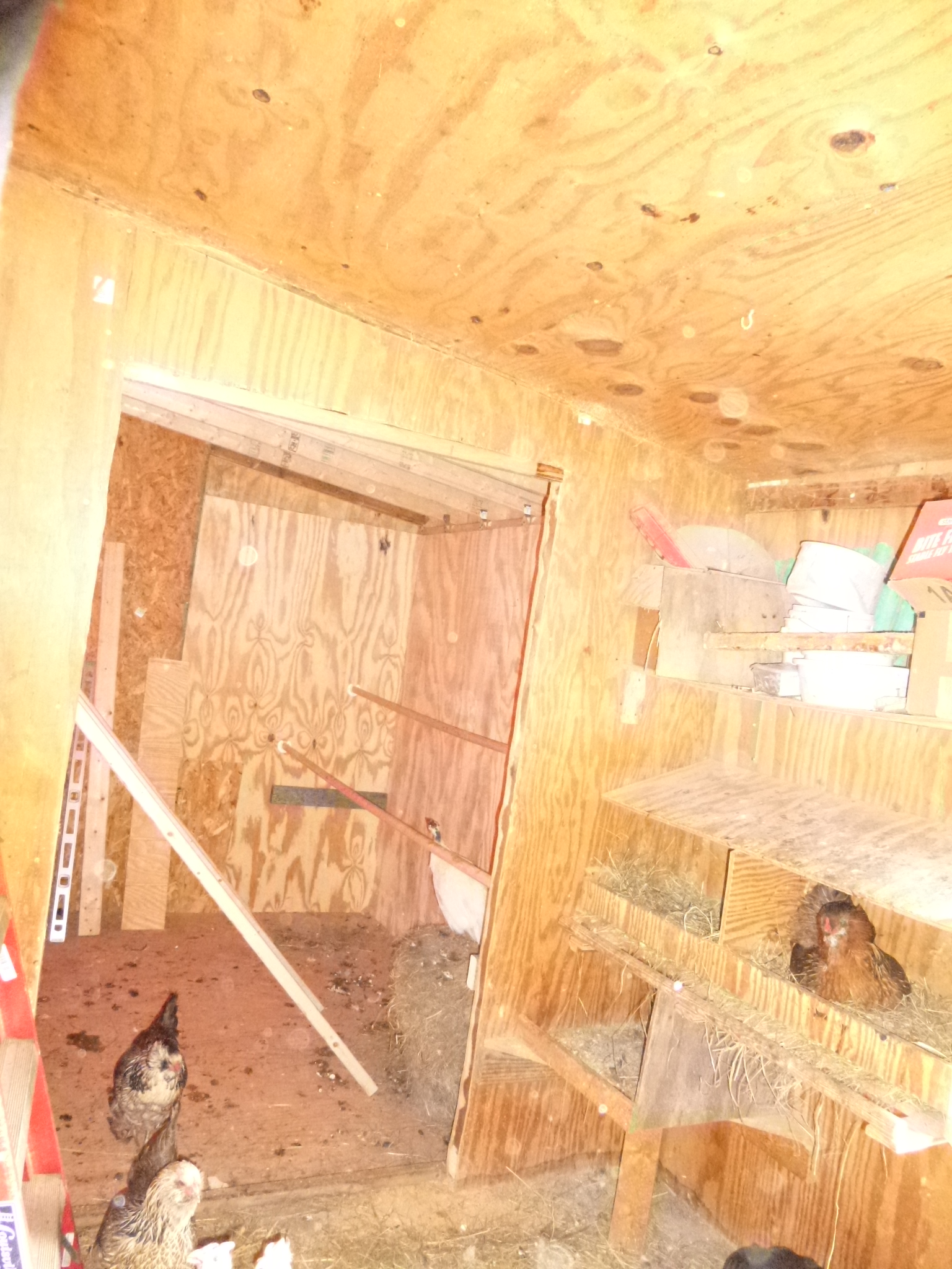 Step 15: Cut door in wall.