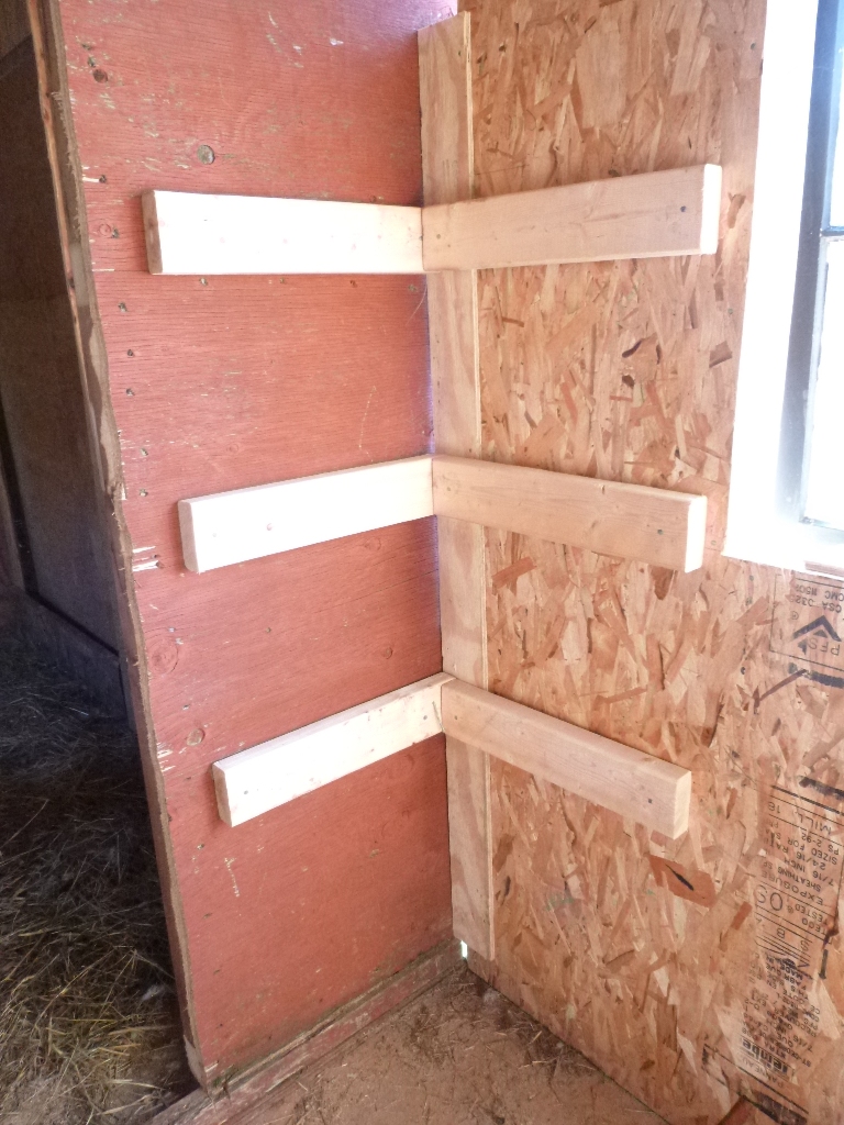 Step 17: Nail on supports for corner nest boxes (YAY!)