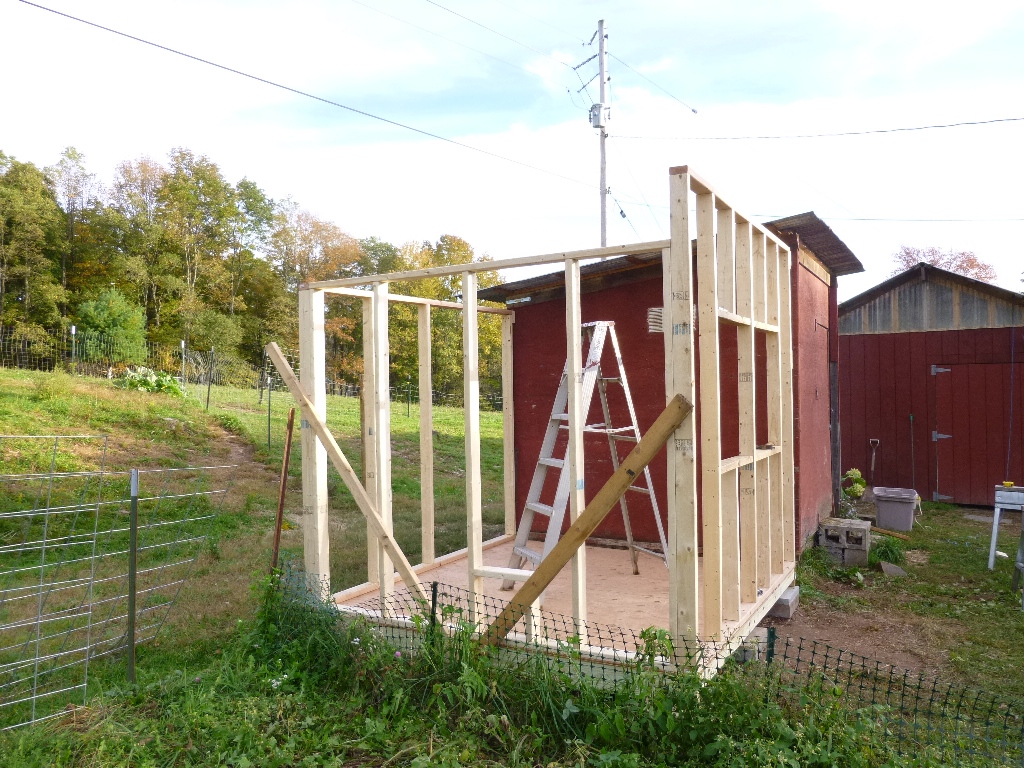 Step 8: Build all walls, make level, brace, and secure with nails