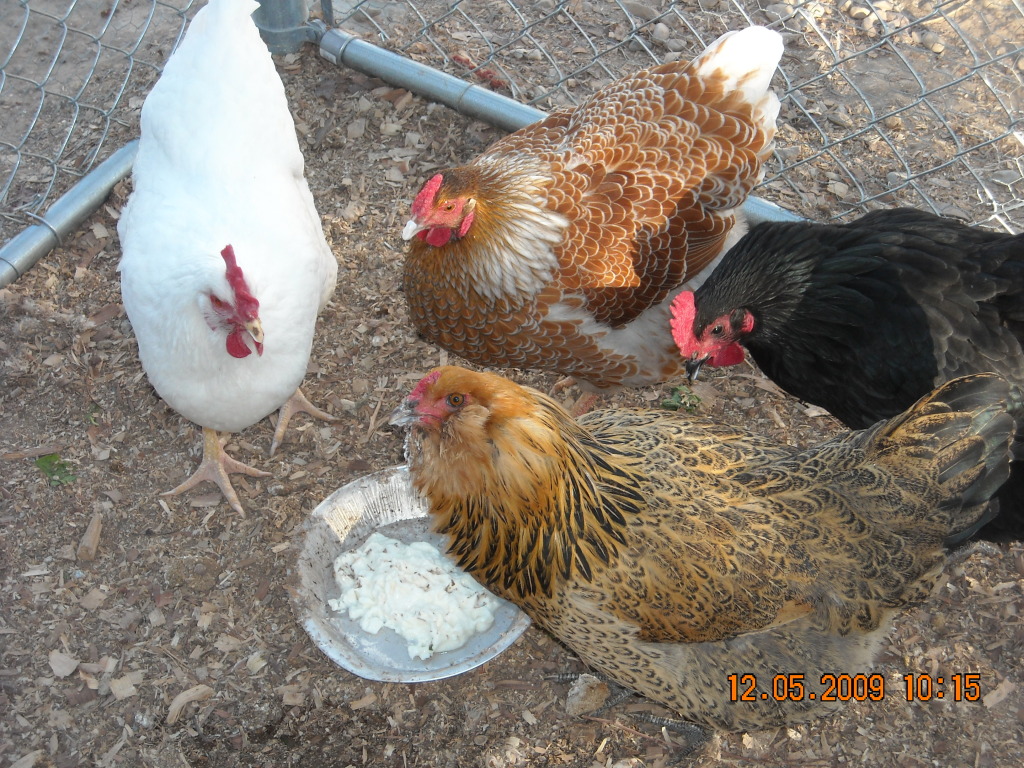 Step back, eating yogurt!