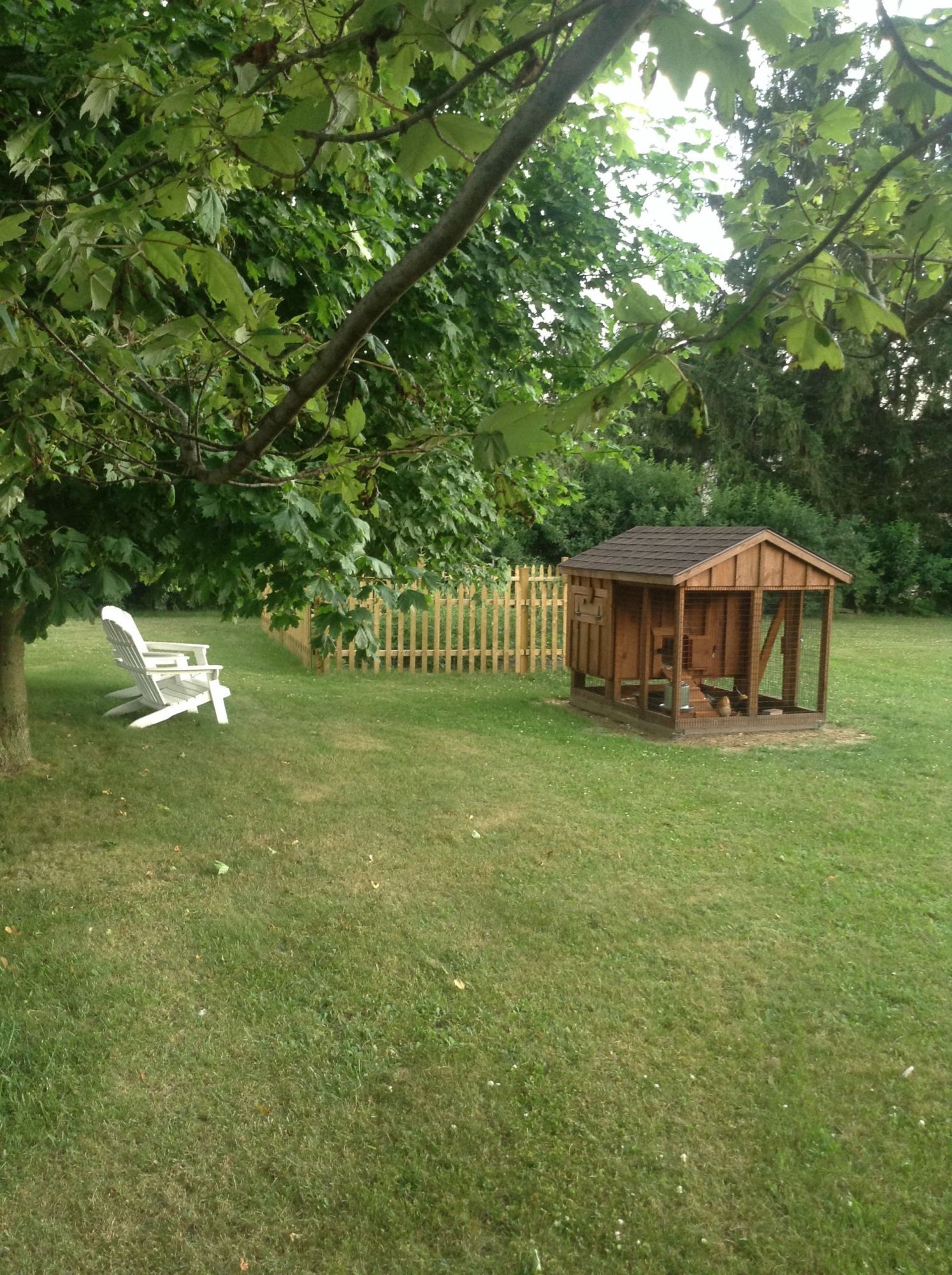 Still a work I'm progress....will be adding a larger run off the back! And adding more landscaping :)