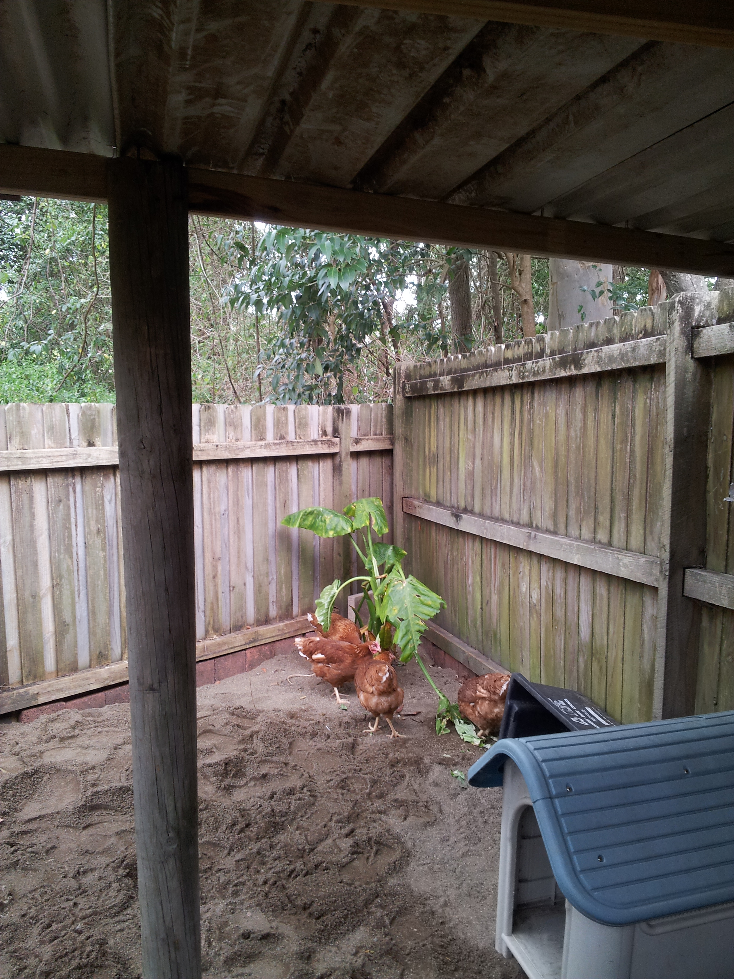 Still before the rest of the roof is up but getting closer.