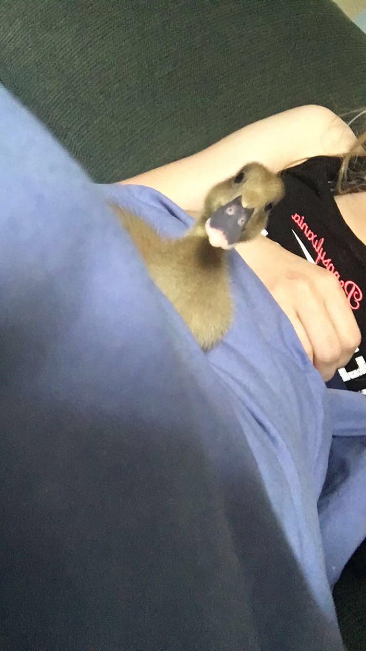 Still my little buddy!