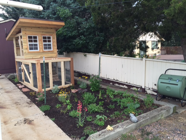 still need to add the door on the coop and we'll be all set!