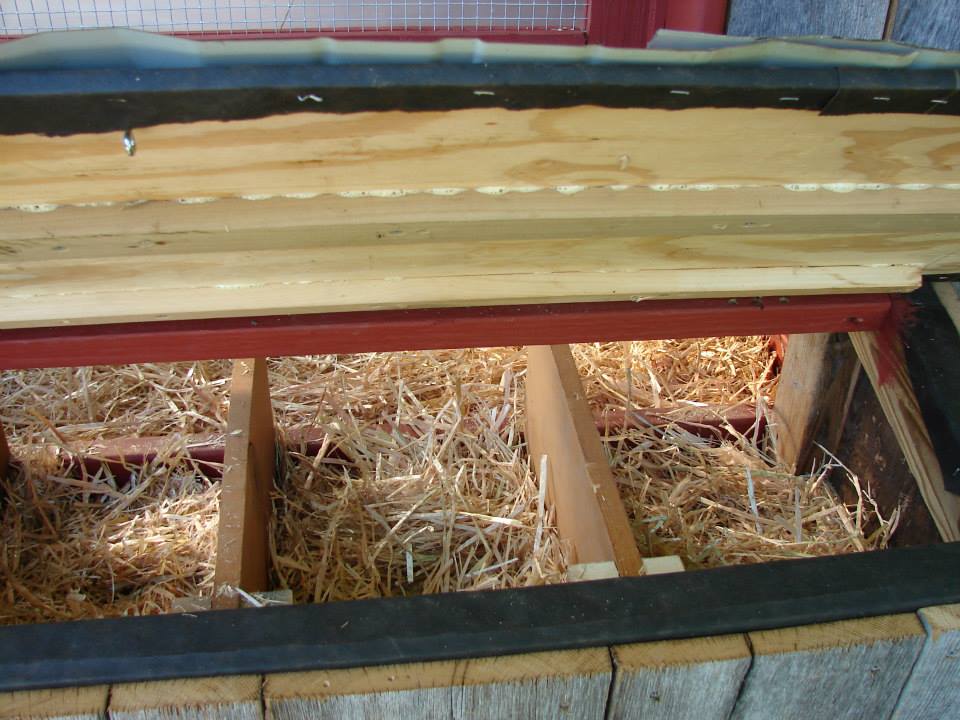 Straw in the nesting boxes.