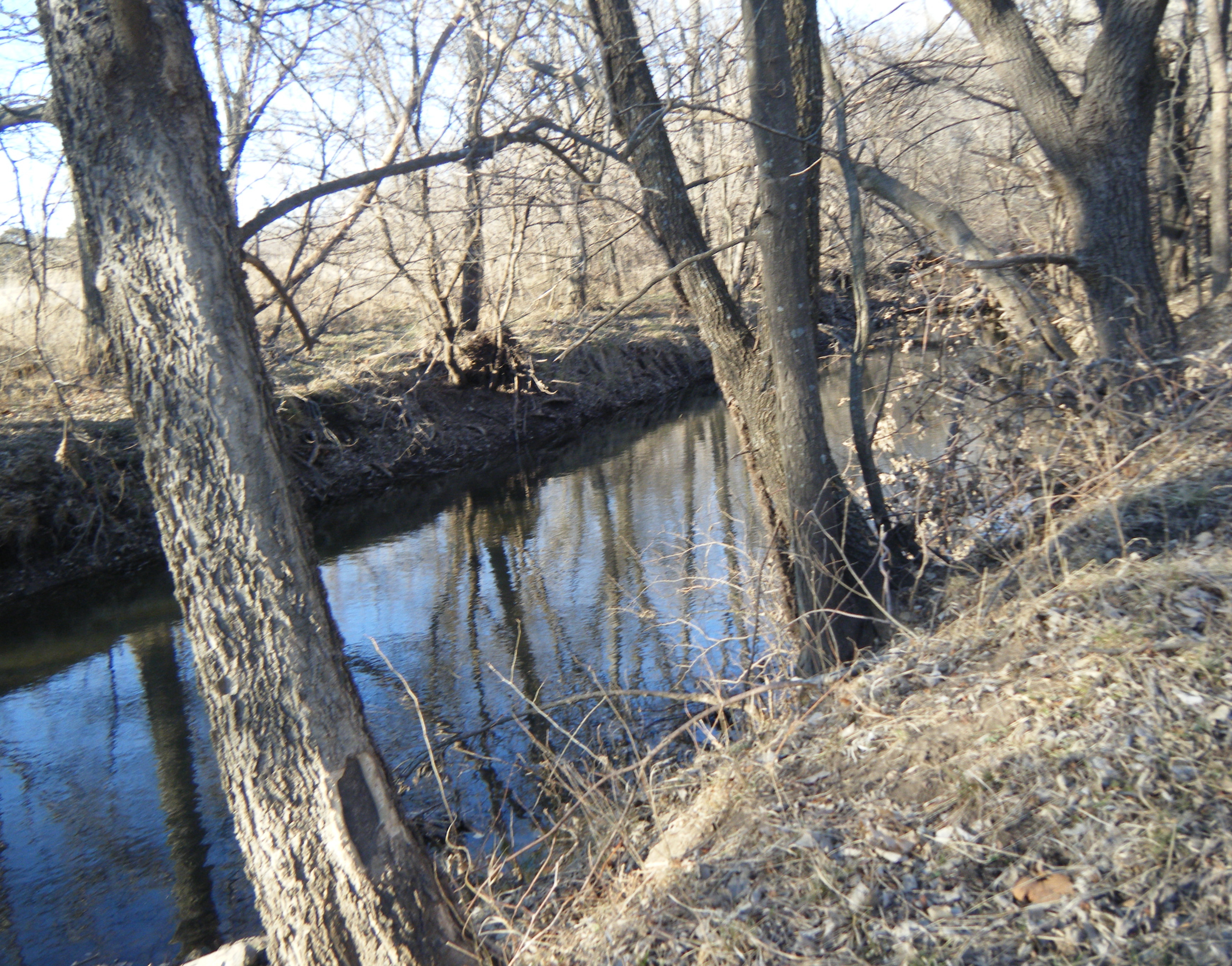 Stribby Creek, it runs by the back of our property.
