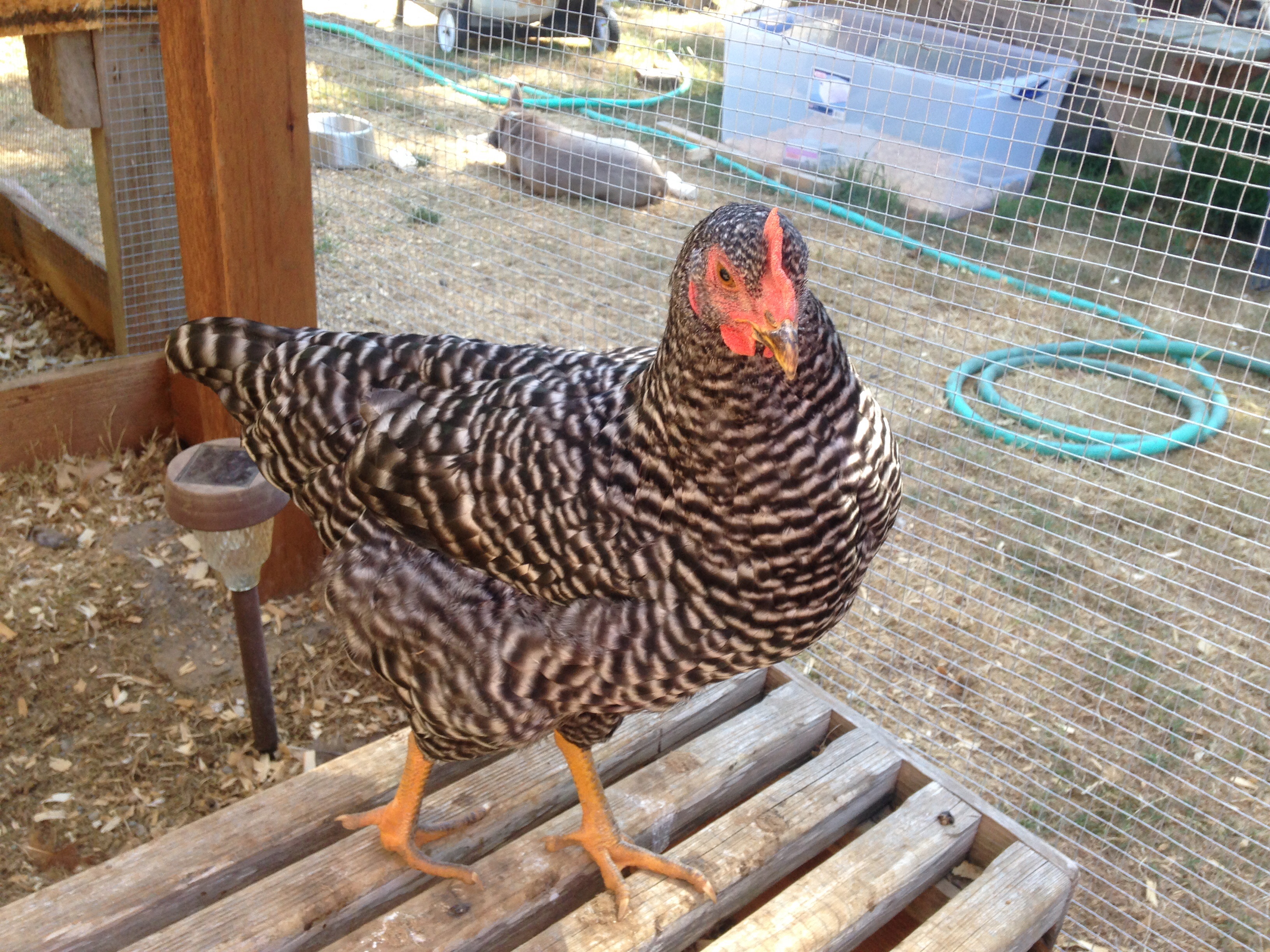 Strike a pose.