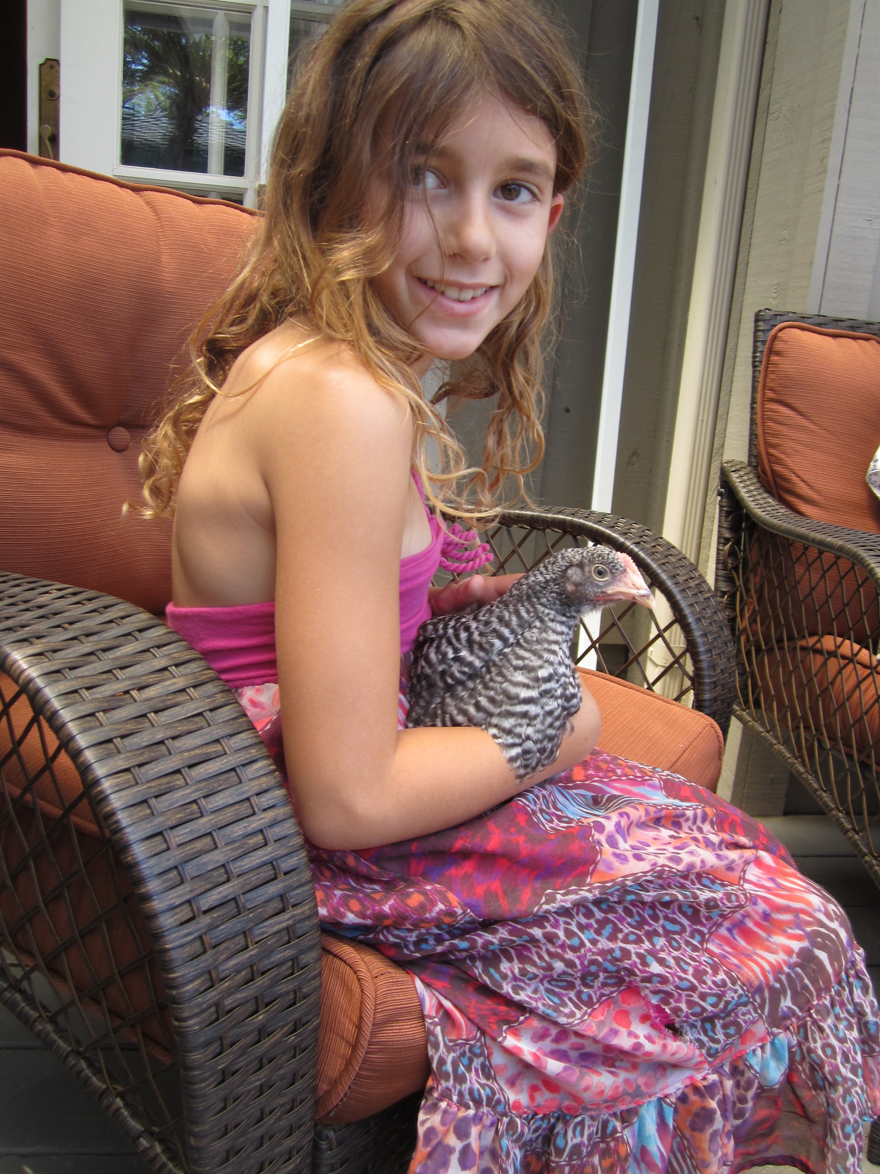 Stripe, our tamest with our daughter