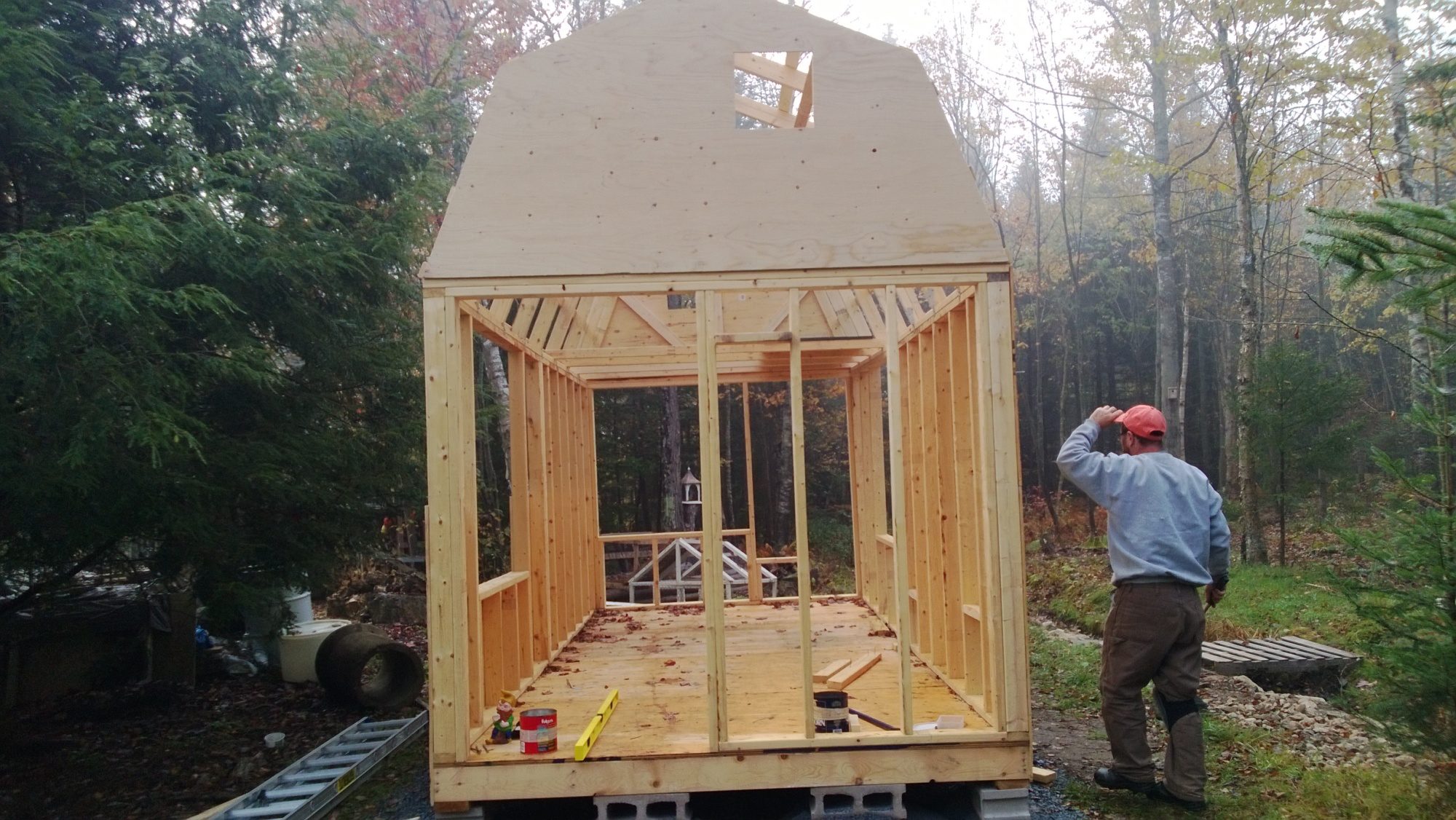 Stumps gone and the little barn goes up