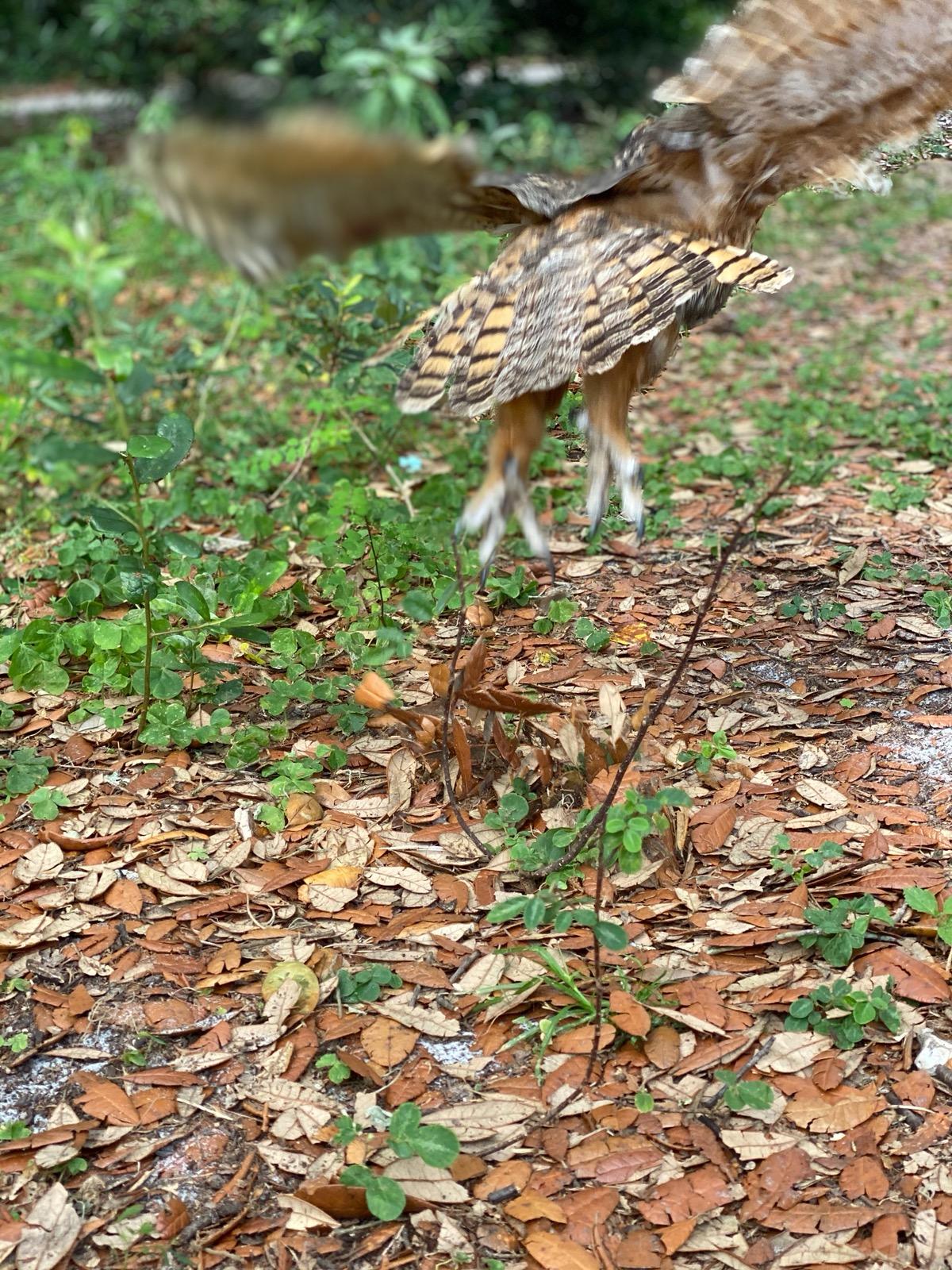 successful release