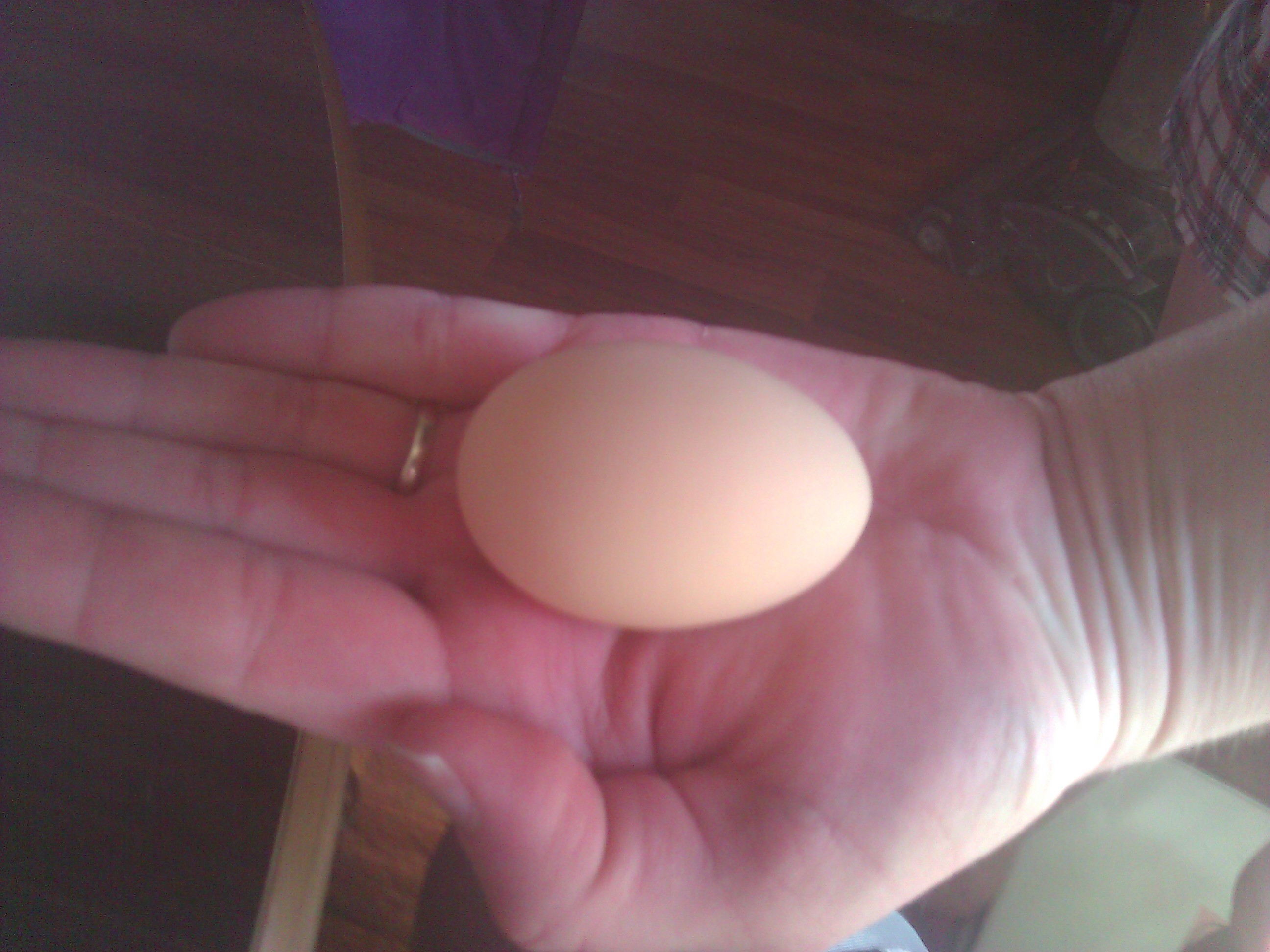 Suma egg ^o^