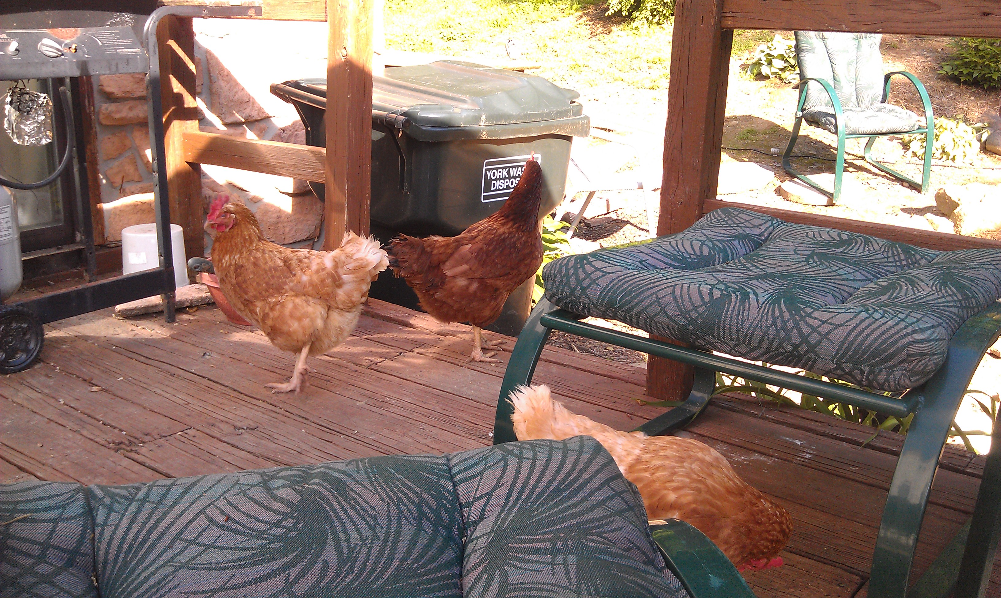 Summer 2014. Chillin' with my girls:)