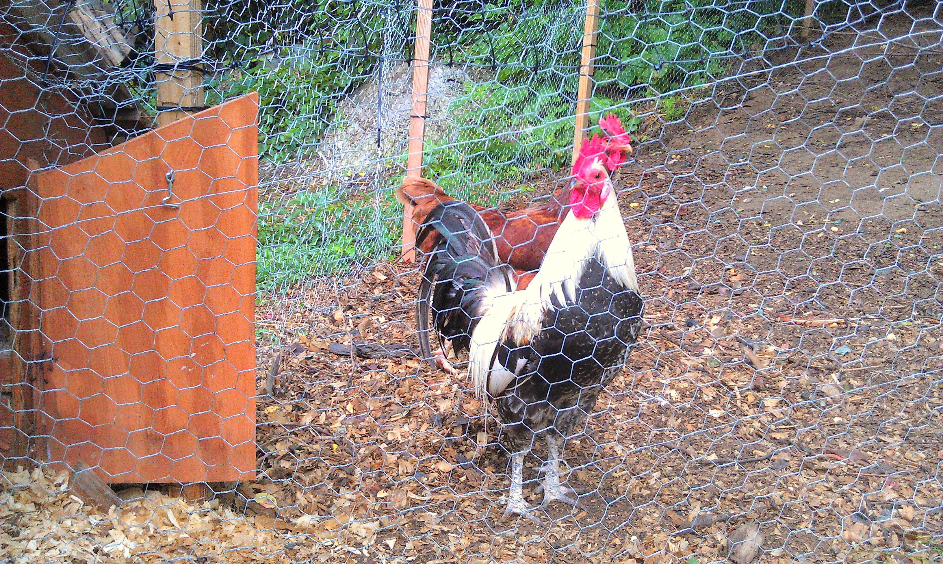 Summer 2014. Percy:)