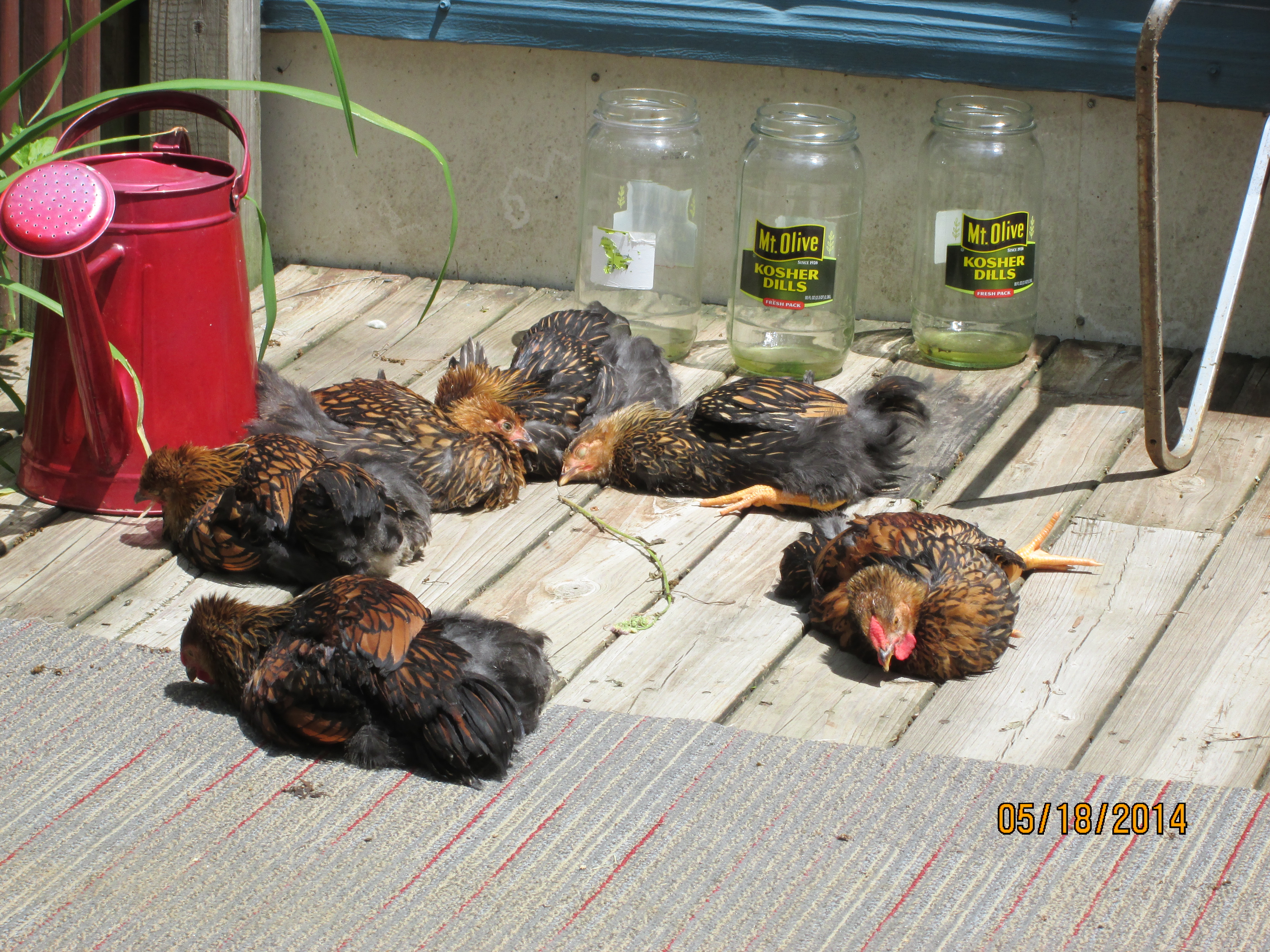 Sunbathing