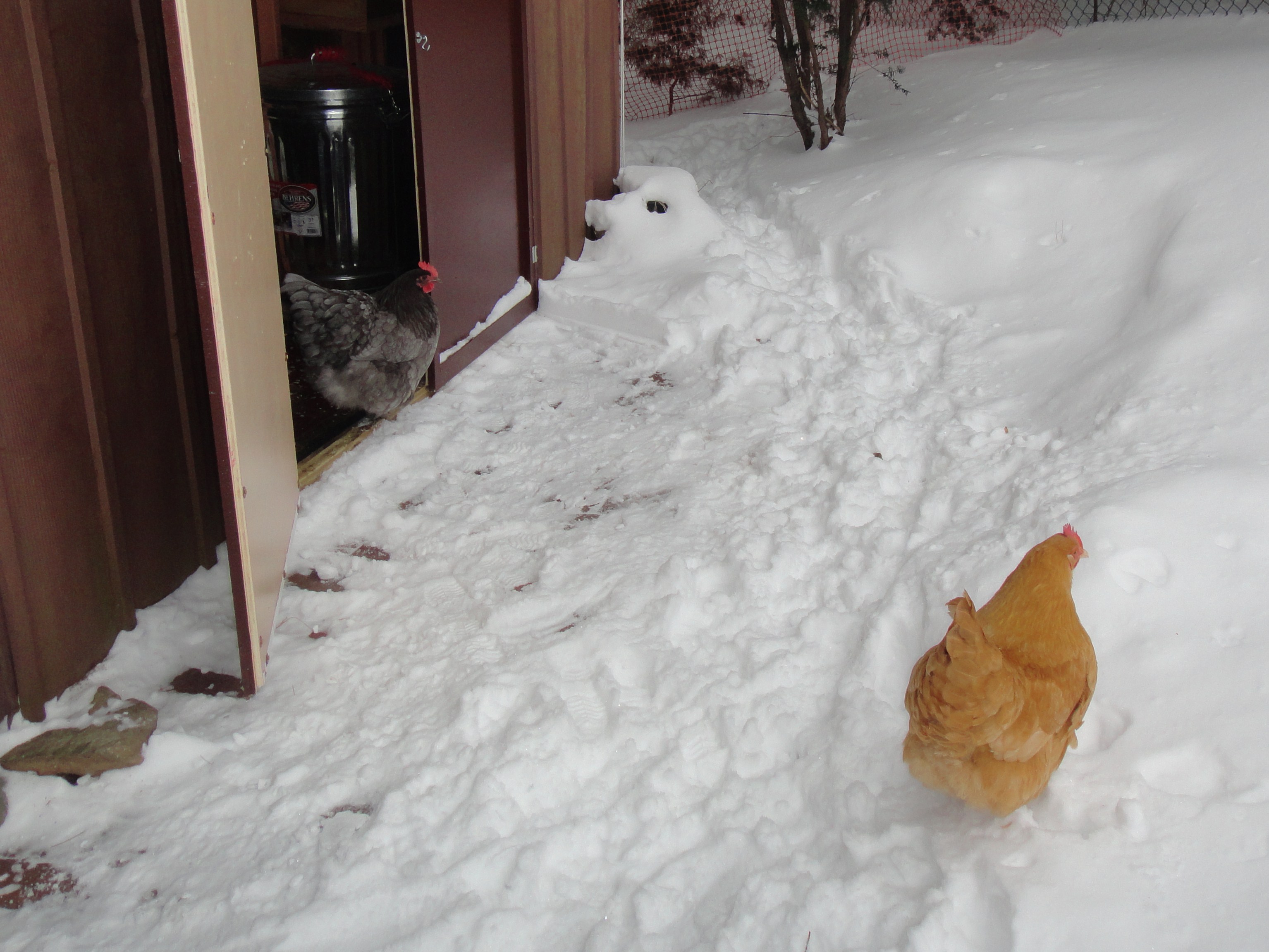 Sunny: C'mon ~ it's nice!
Bonnie: I think I'll watch from here.