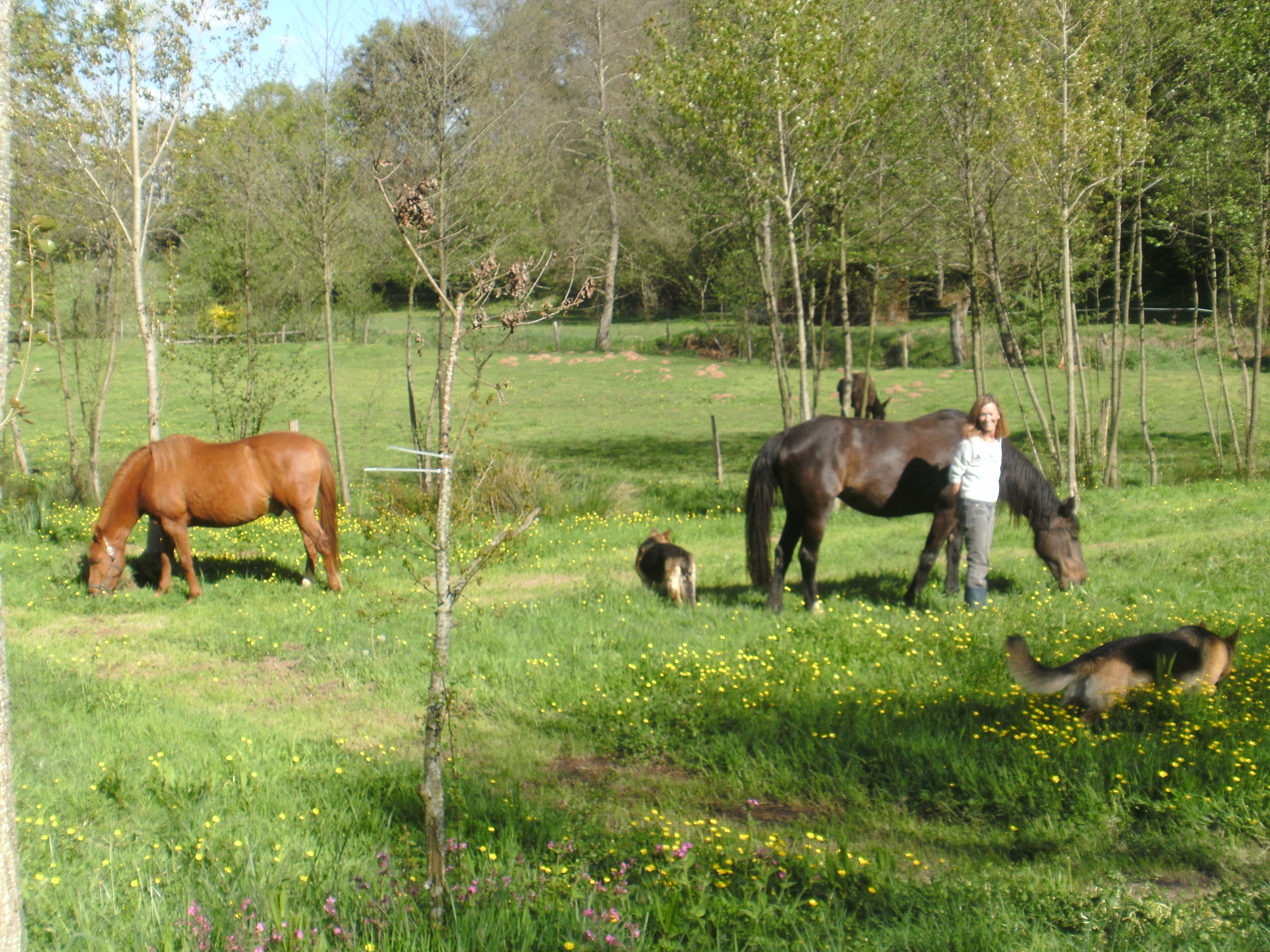 Sunny days with some of my babies