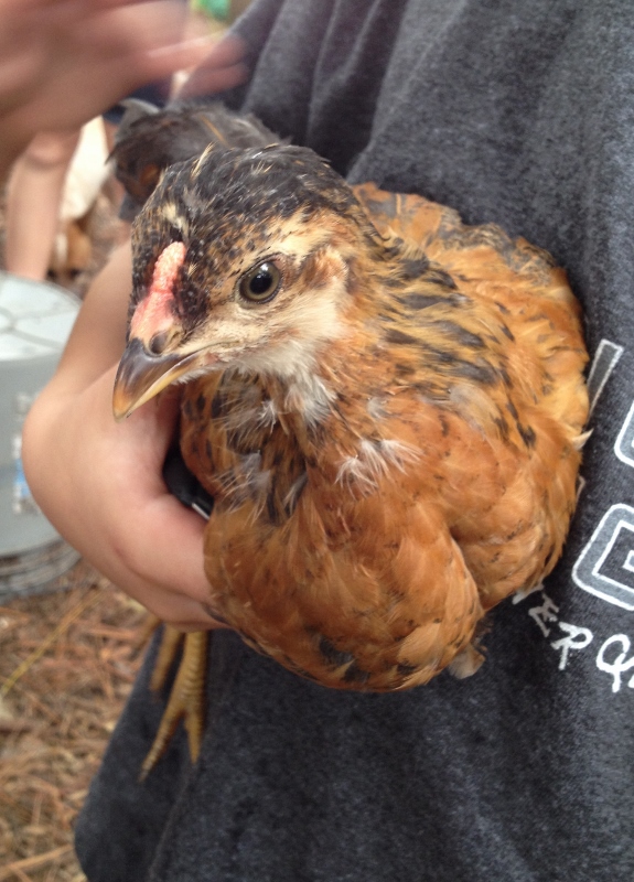 Sunny, or Toby, depending on what gender it turns out, five weeks