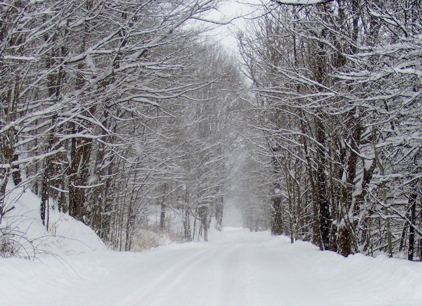 sunny upstate NY........