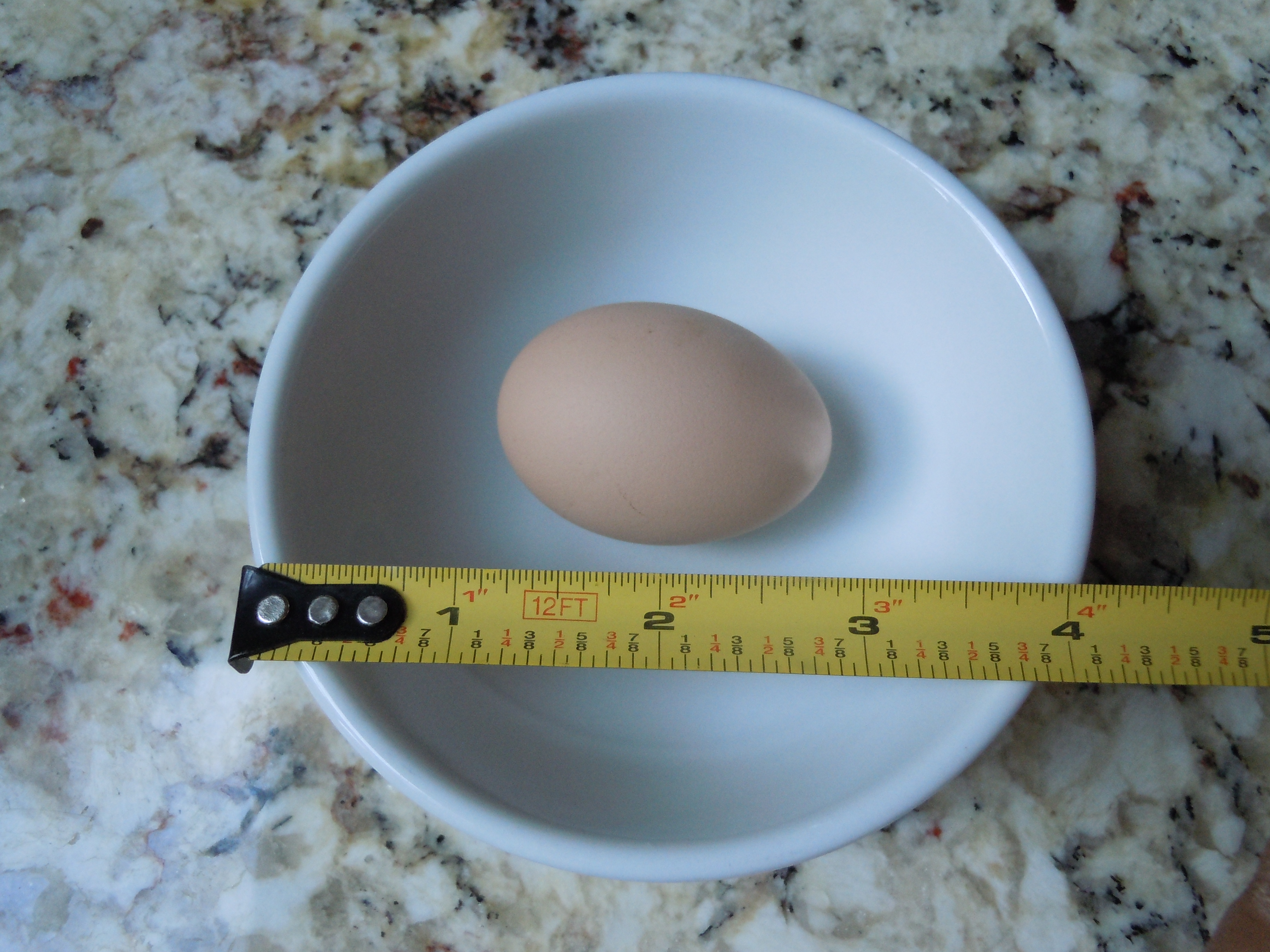 Sunny's perfect little egg. Our first!